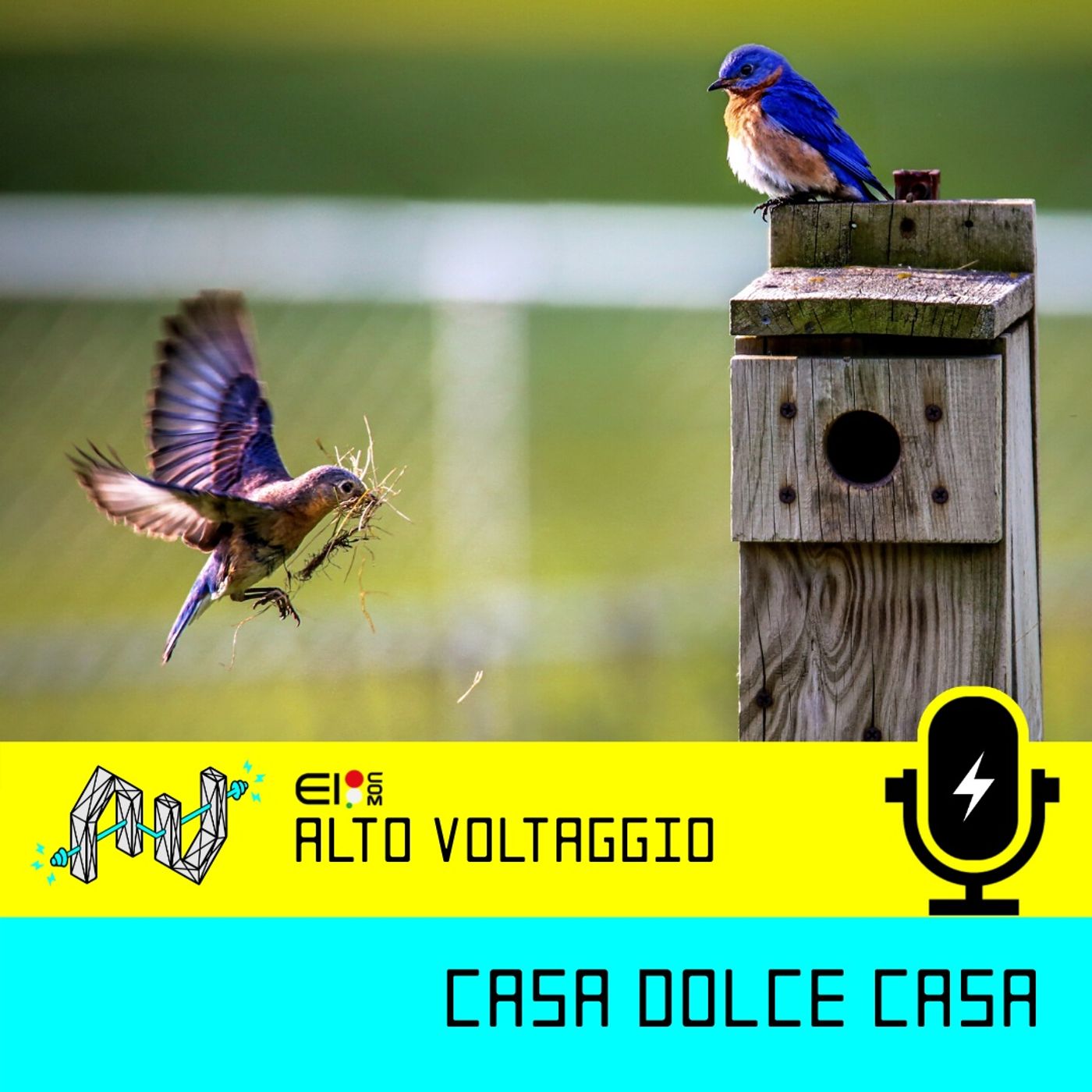 E06 - Casa dolce casa episode artwork
