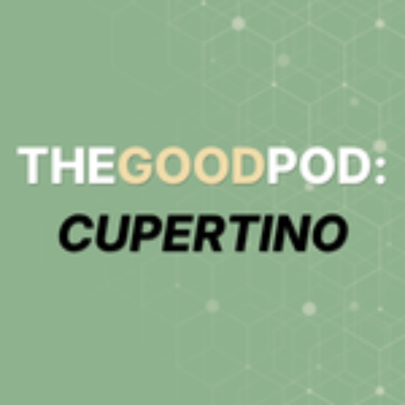 Cupertino: Season 1, Episode 2 - Vik & Bo