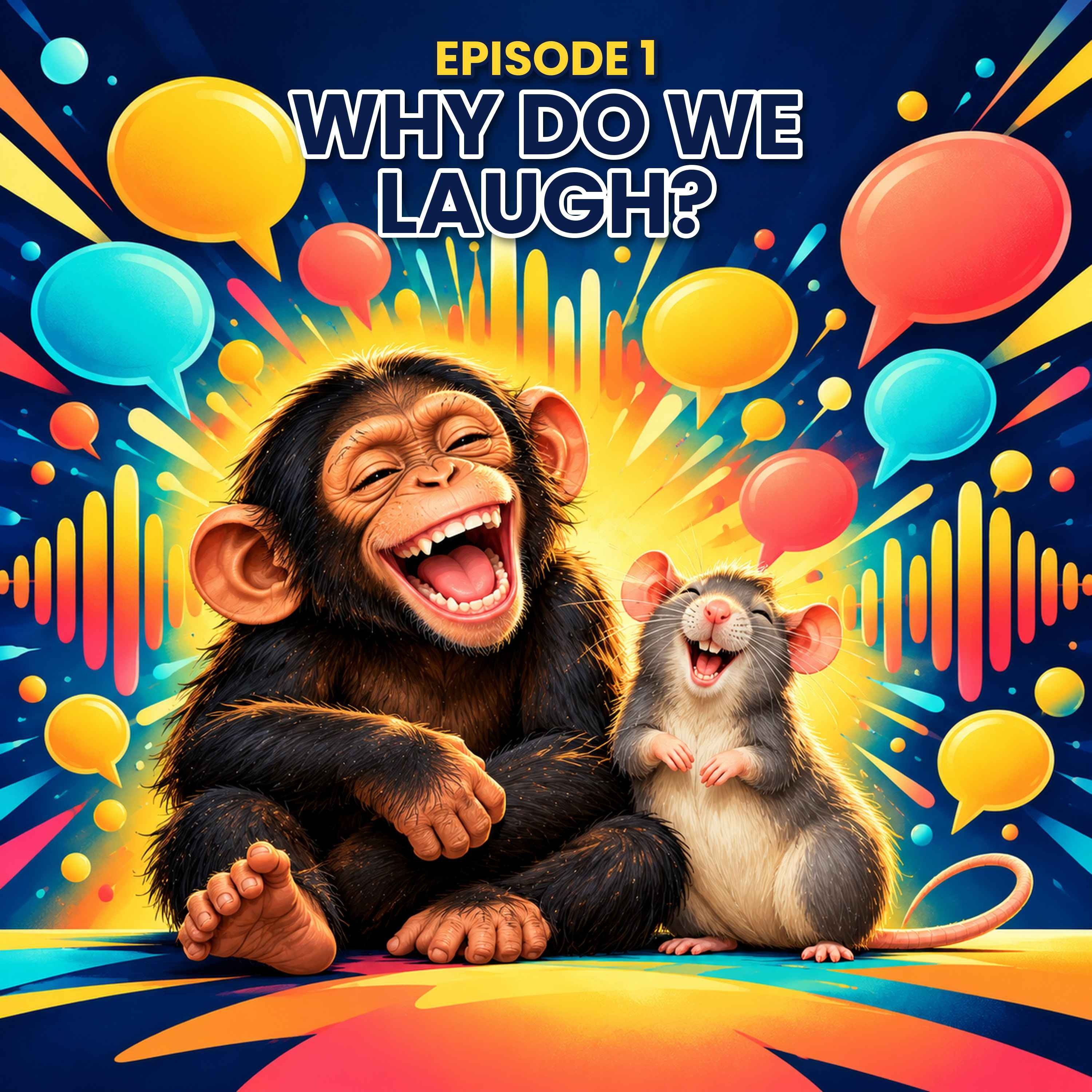 Why Do We Laugh? episode artwork
