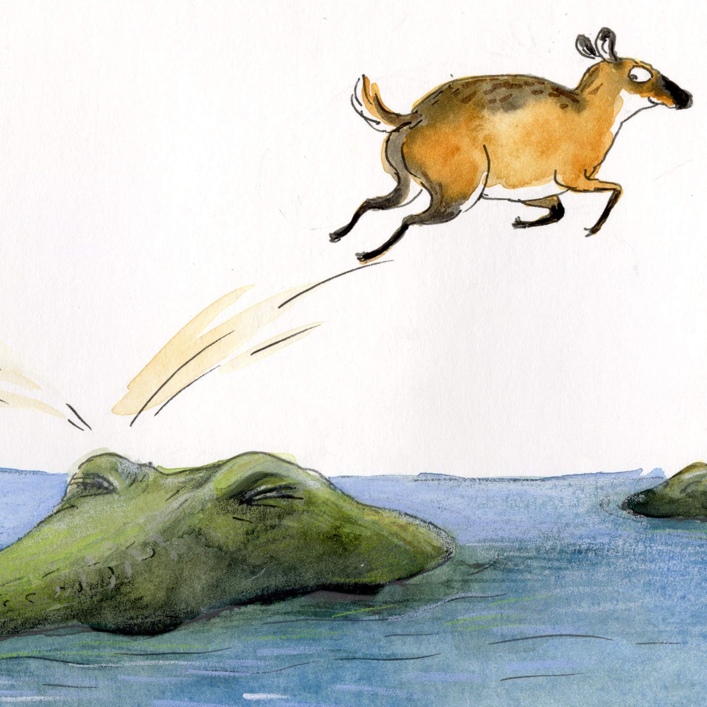Encore: Counting Crocodiles episode artwork