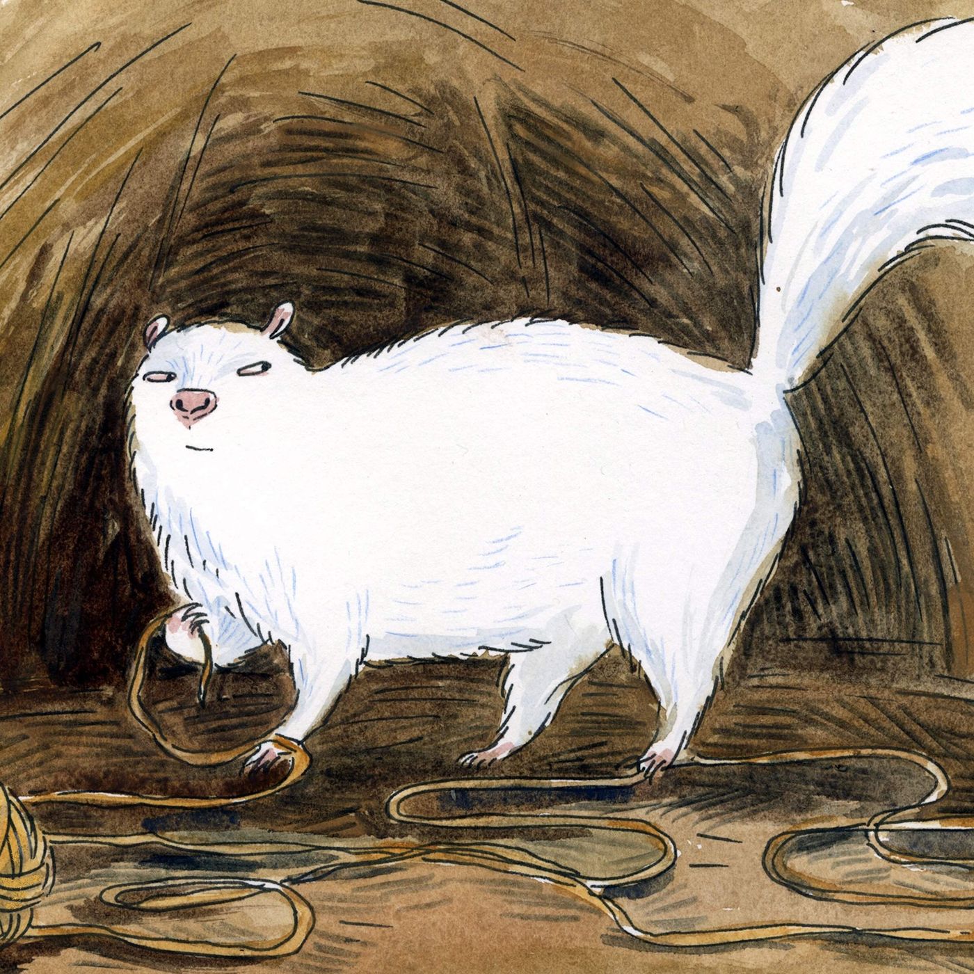 Encore: Getting Skunked episode artwork
