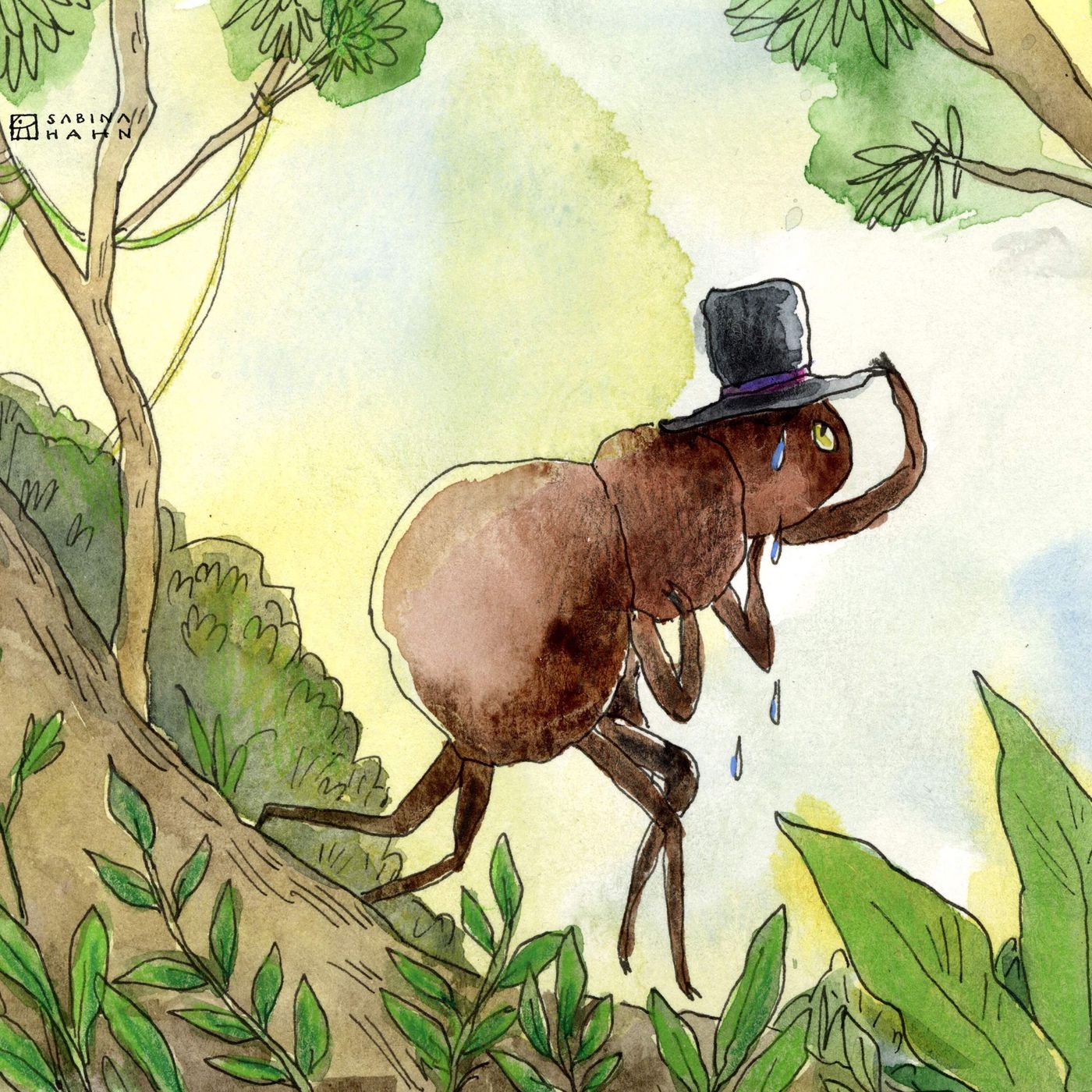 The Round Mossy Stone episode artwork