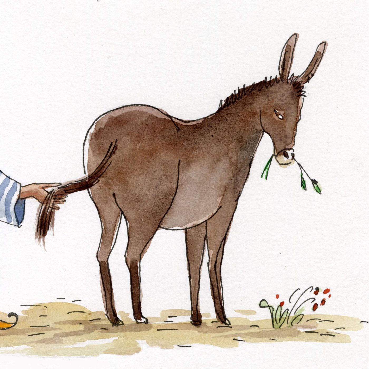 The Donkey’s Tail episode artwork