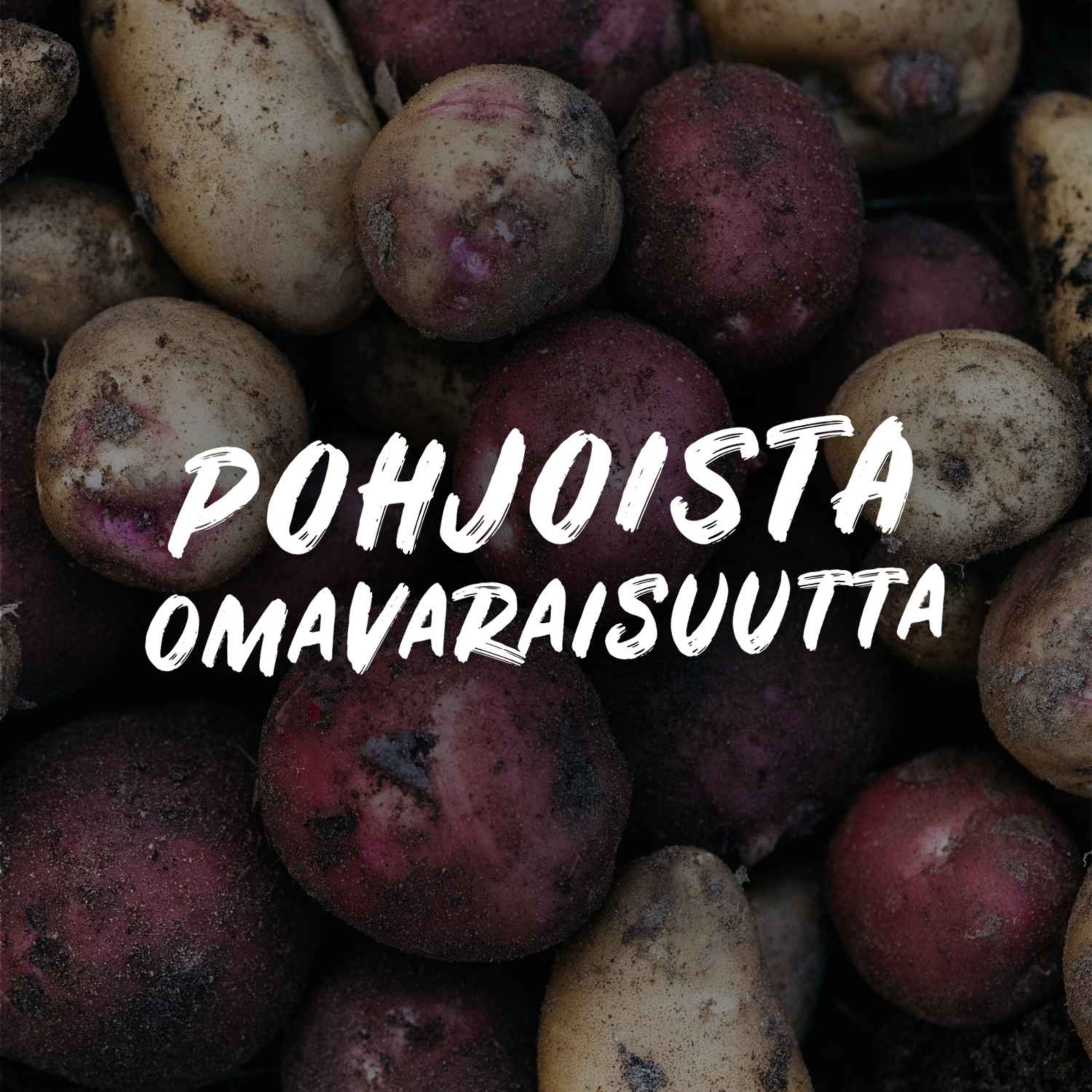 Pohjoista omavaraisuutta podcast artwork