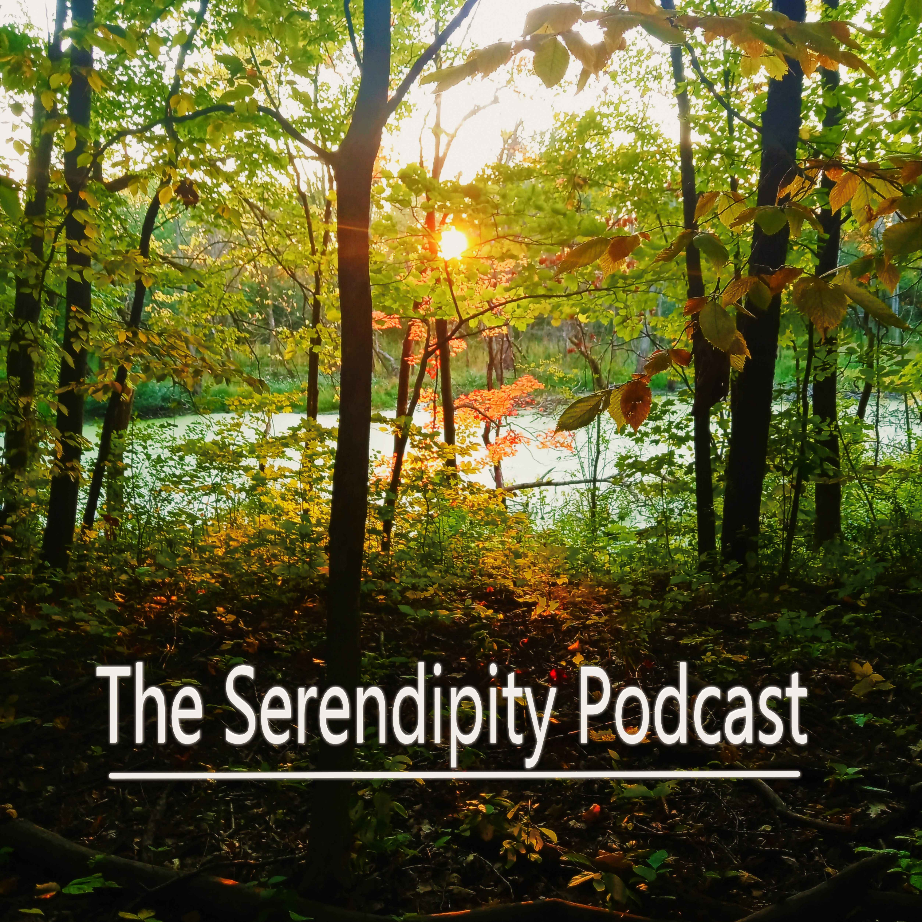 The Serendipity Podcast 