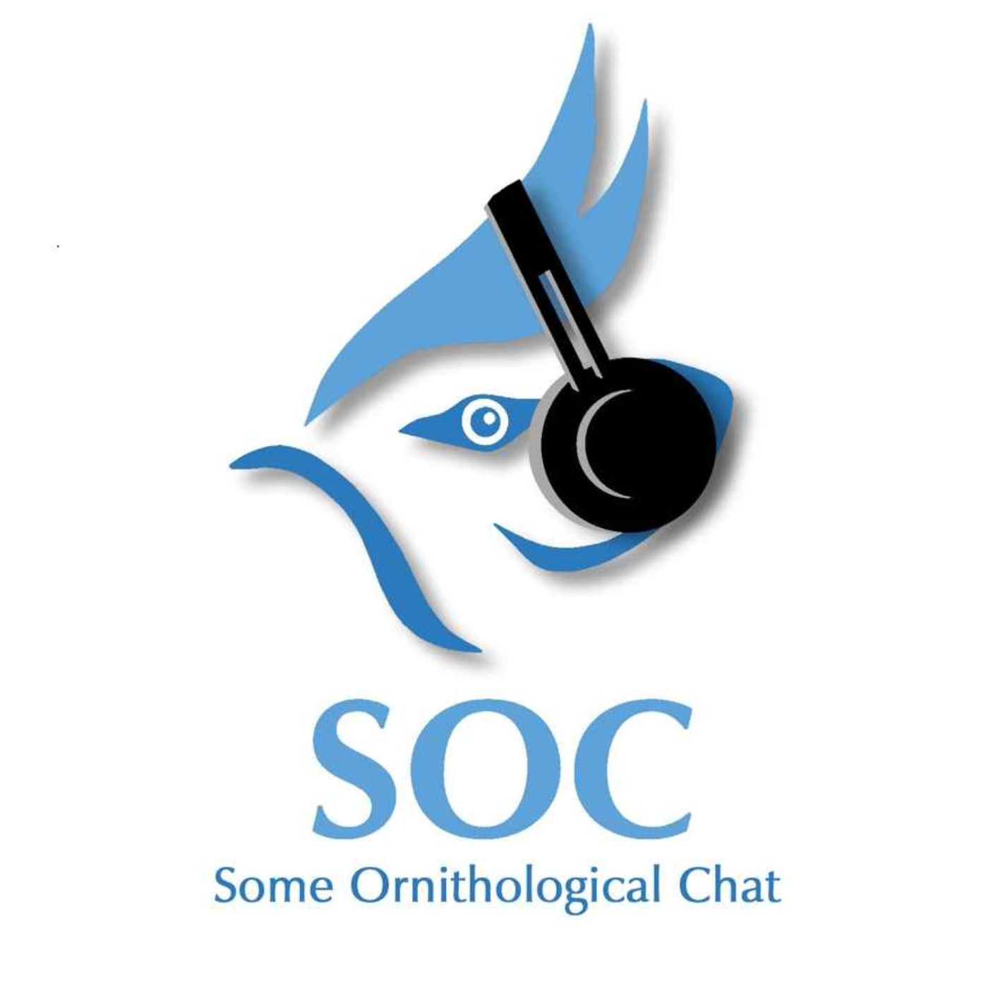 cover art for Some Ornithological Chat with Scott Mayson