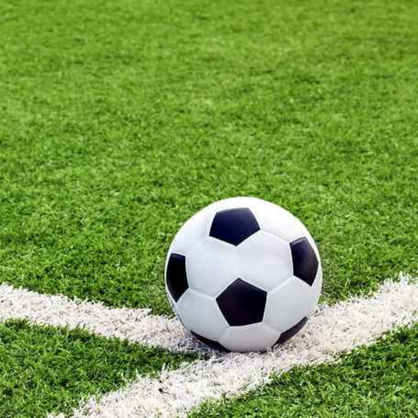 PILOTO