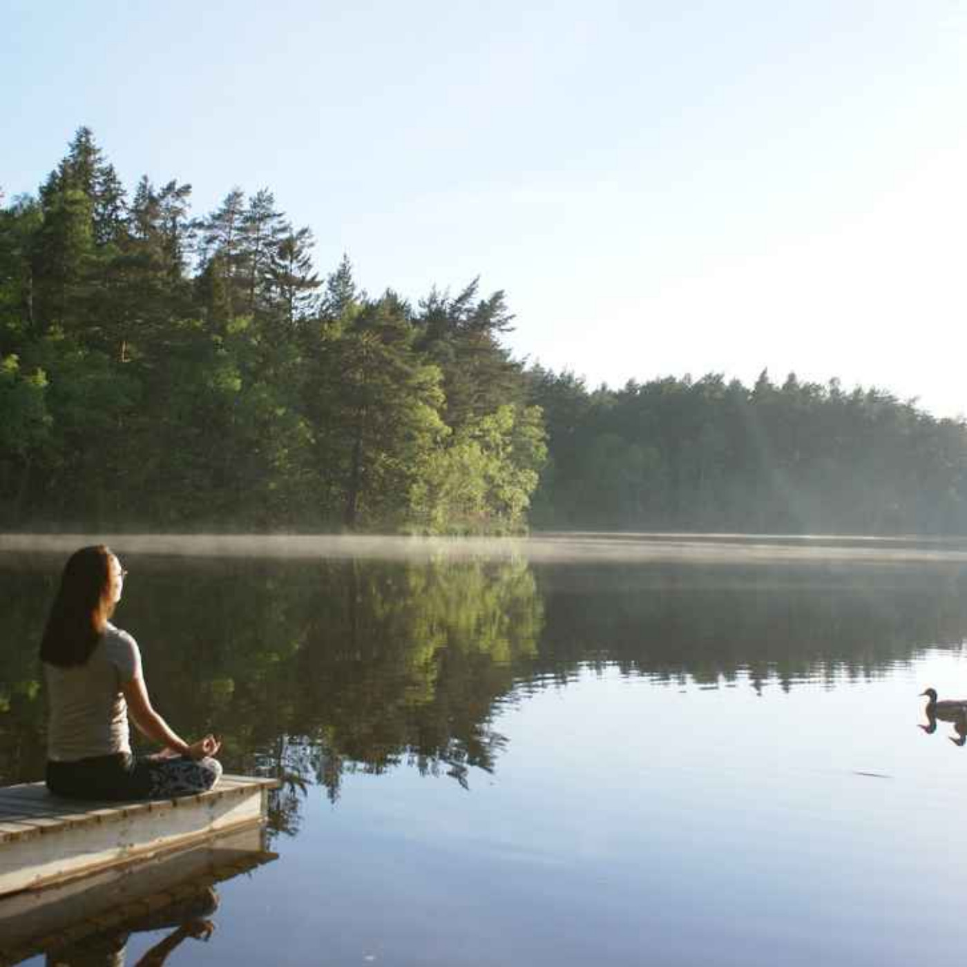 Längre guidad sömnmeditation 40 min