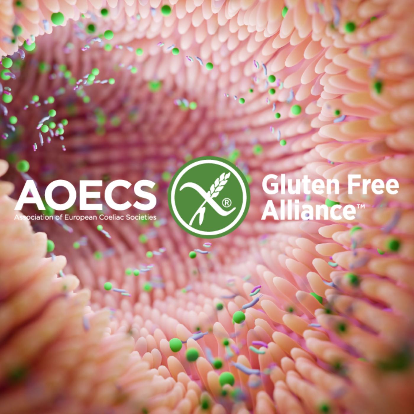 AOECS - Gluten Free Alliance podcast