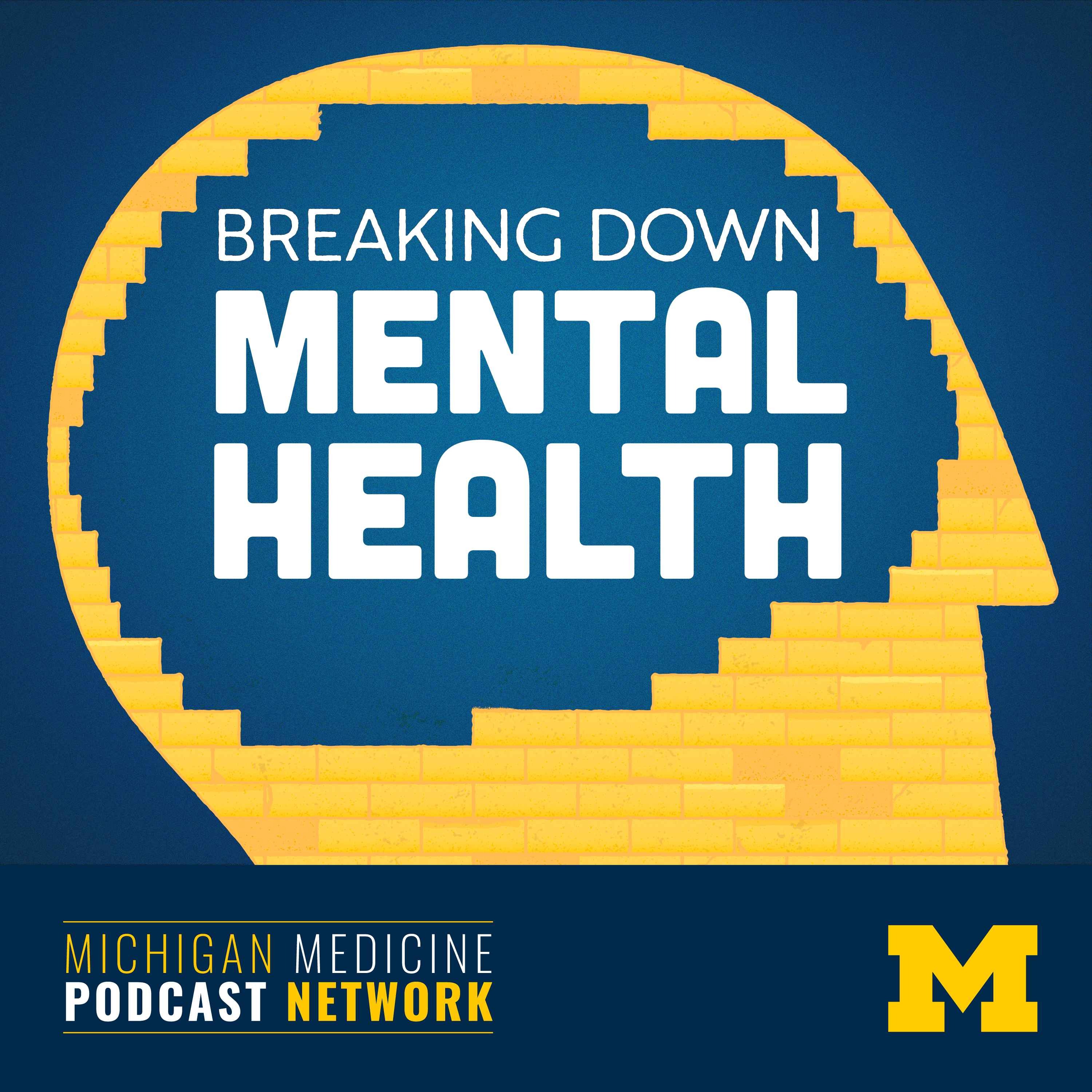 cover art for Introducing: Breaking Down Mental Health