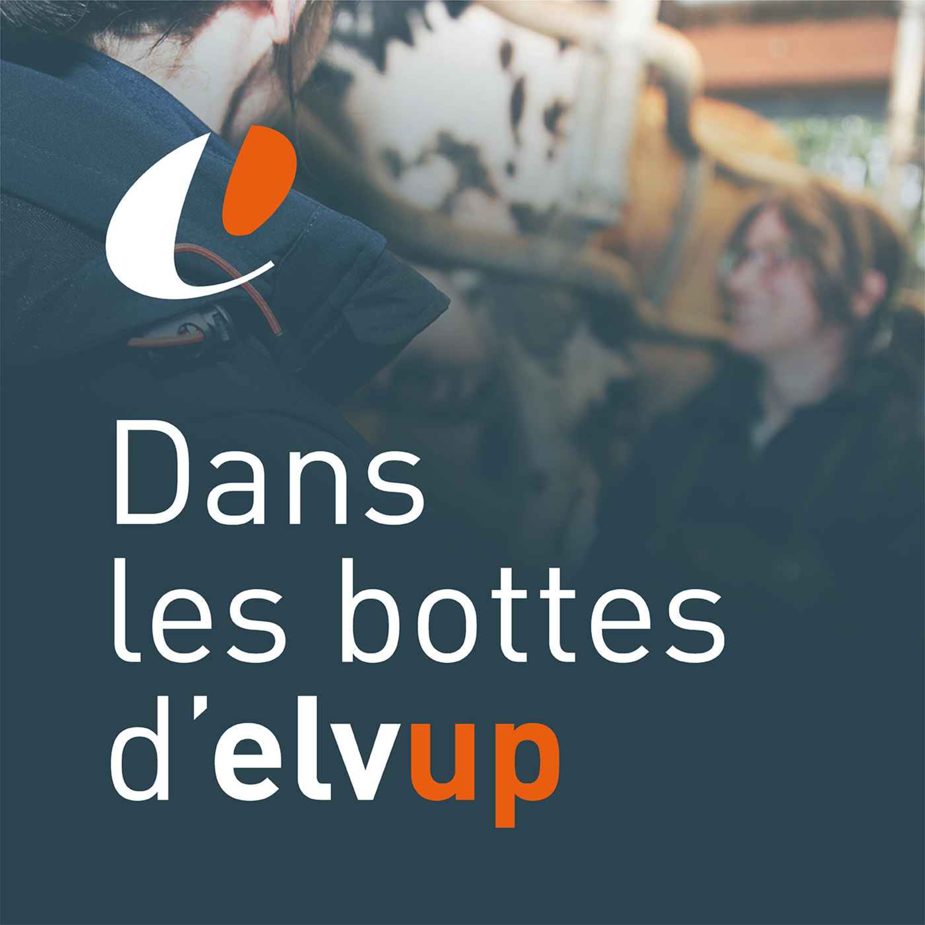 Dans les bottes d'Elvup