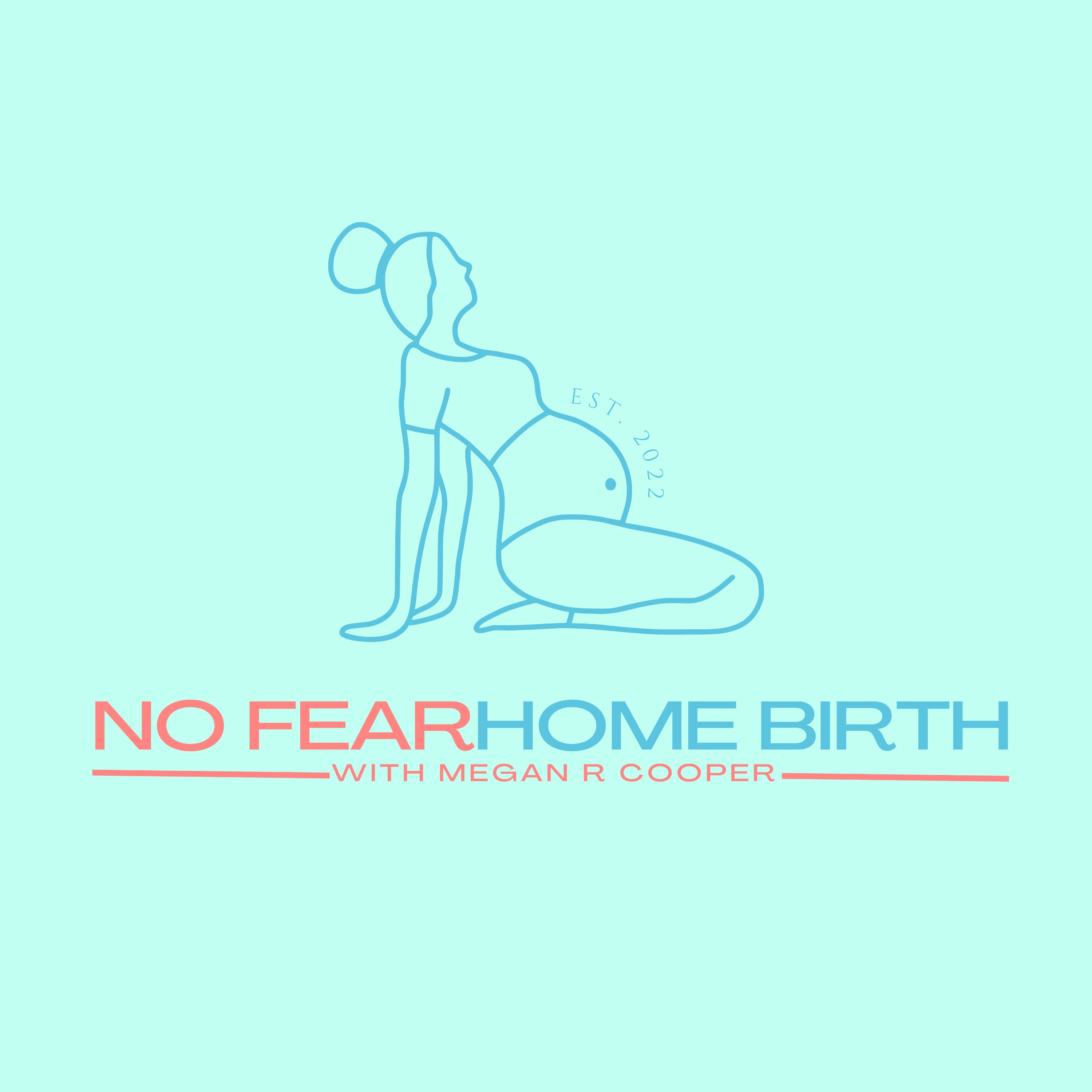 No Fear Home Birth