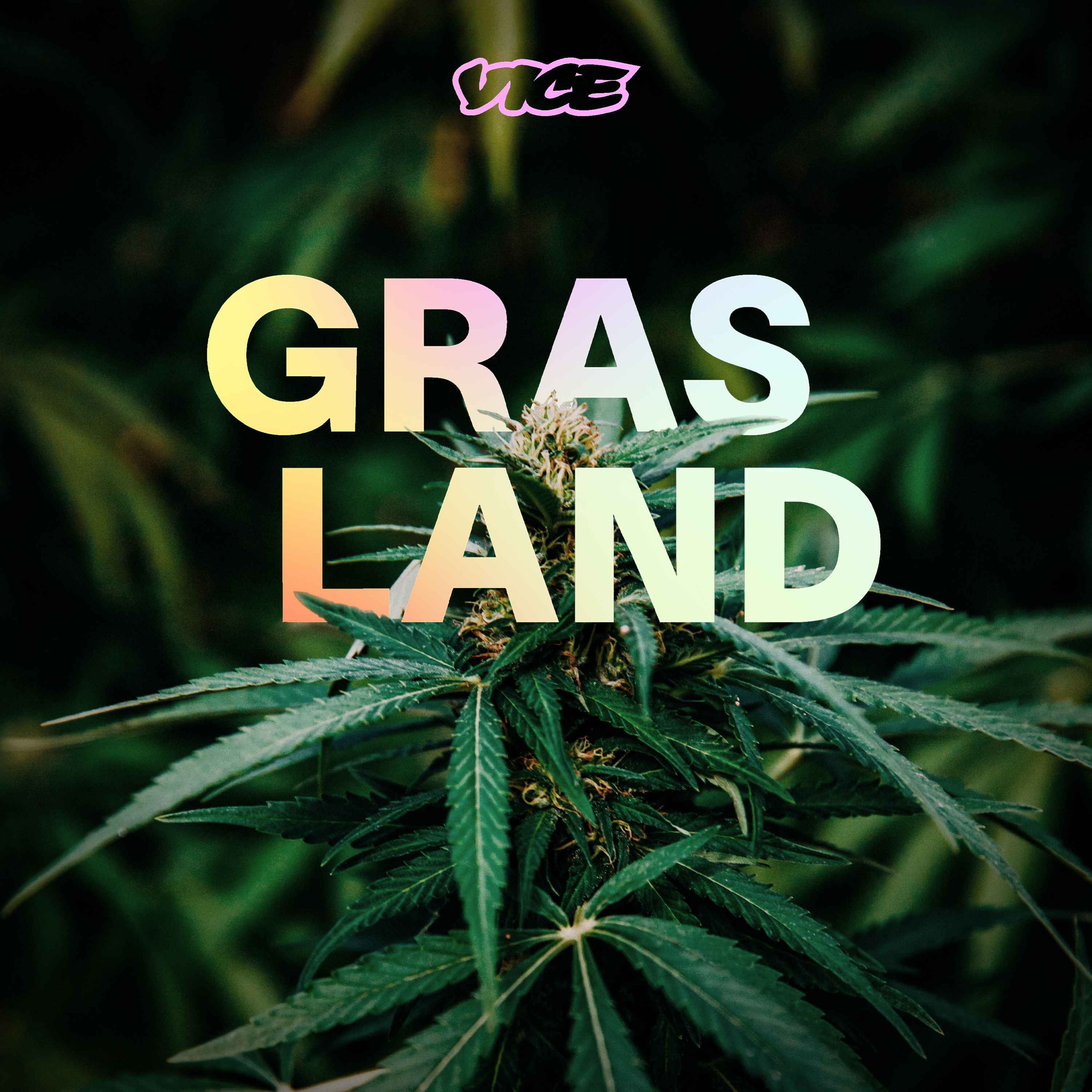 Grasland