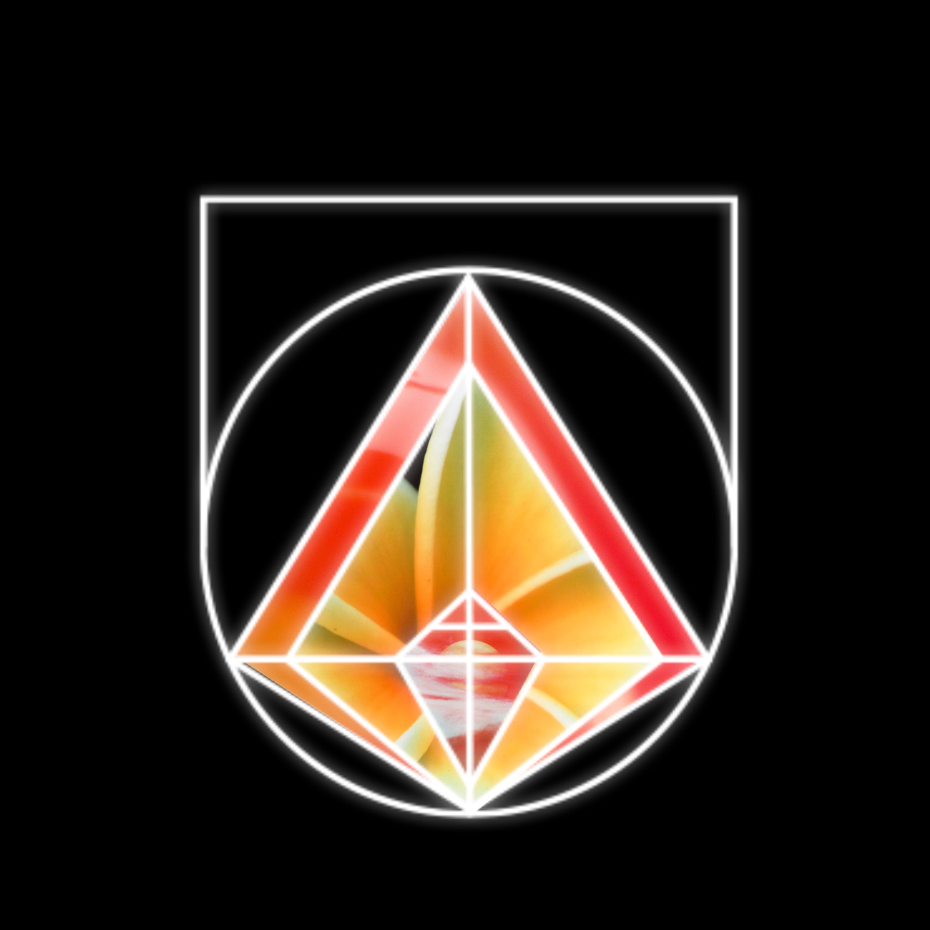 Integrated Awakenings with Maria