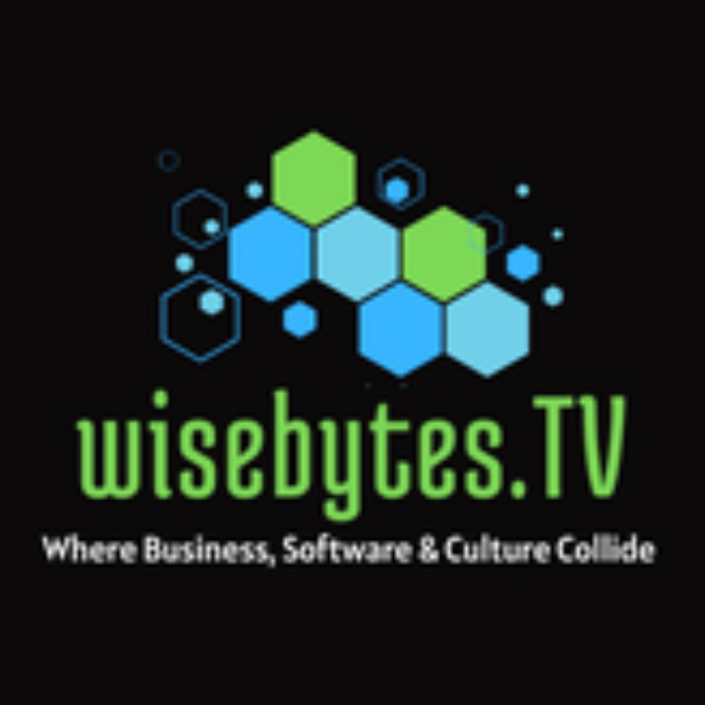 WiseBytes.TV