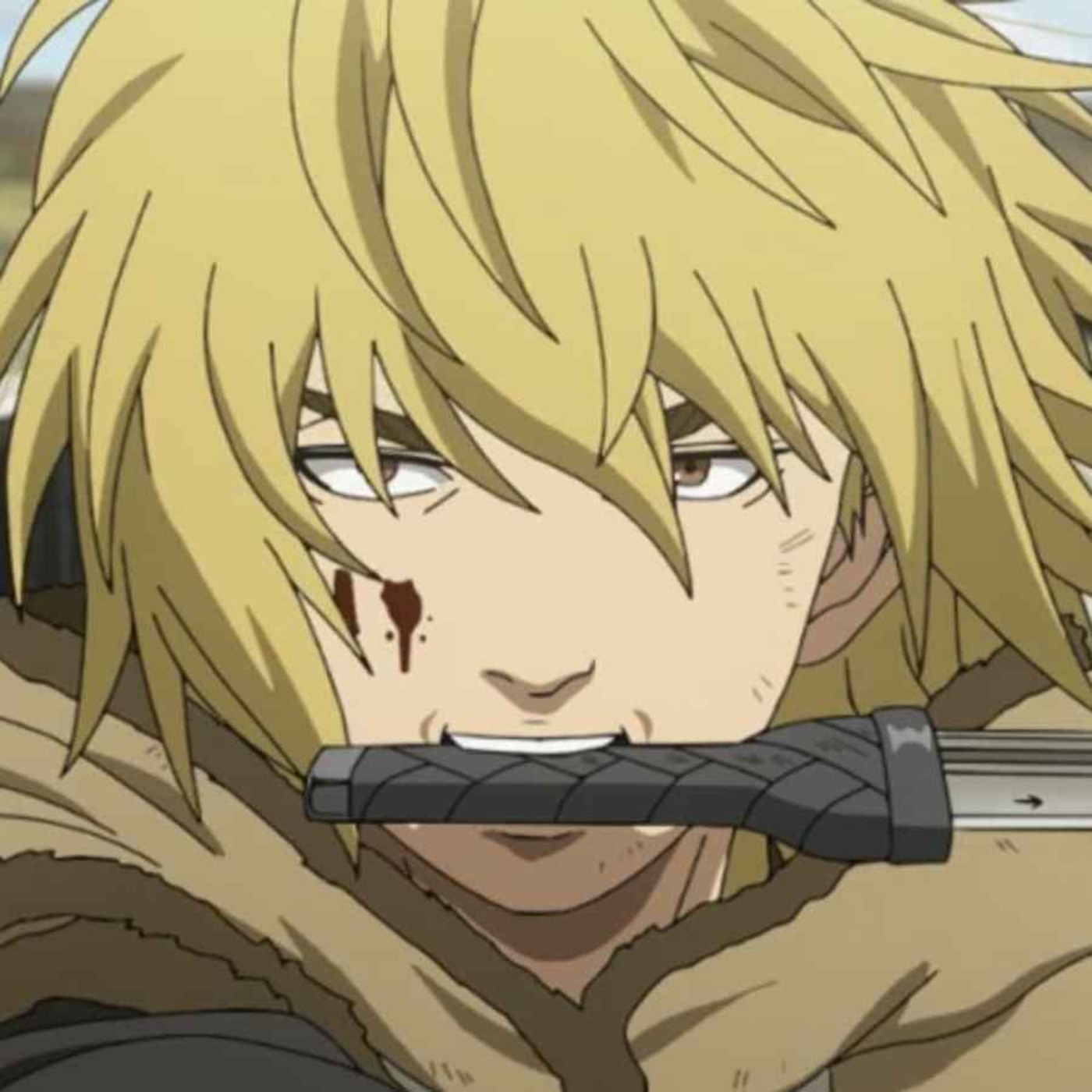 Get founder status Image