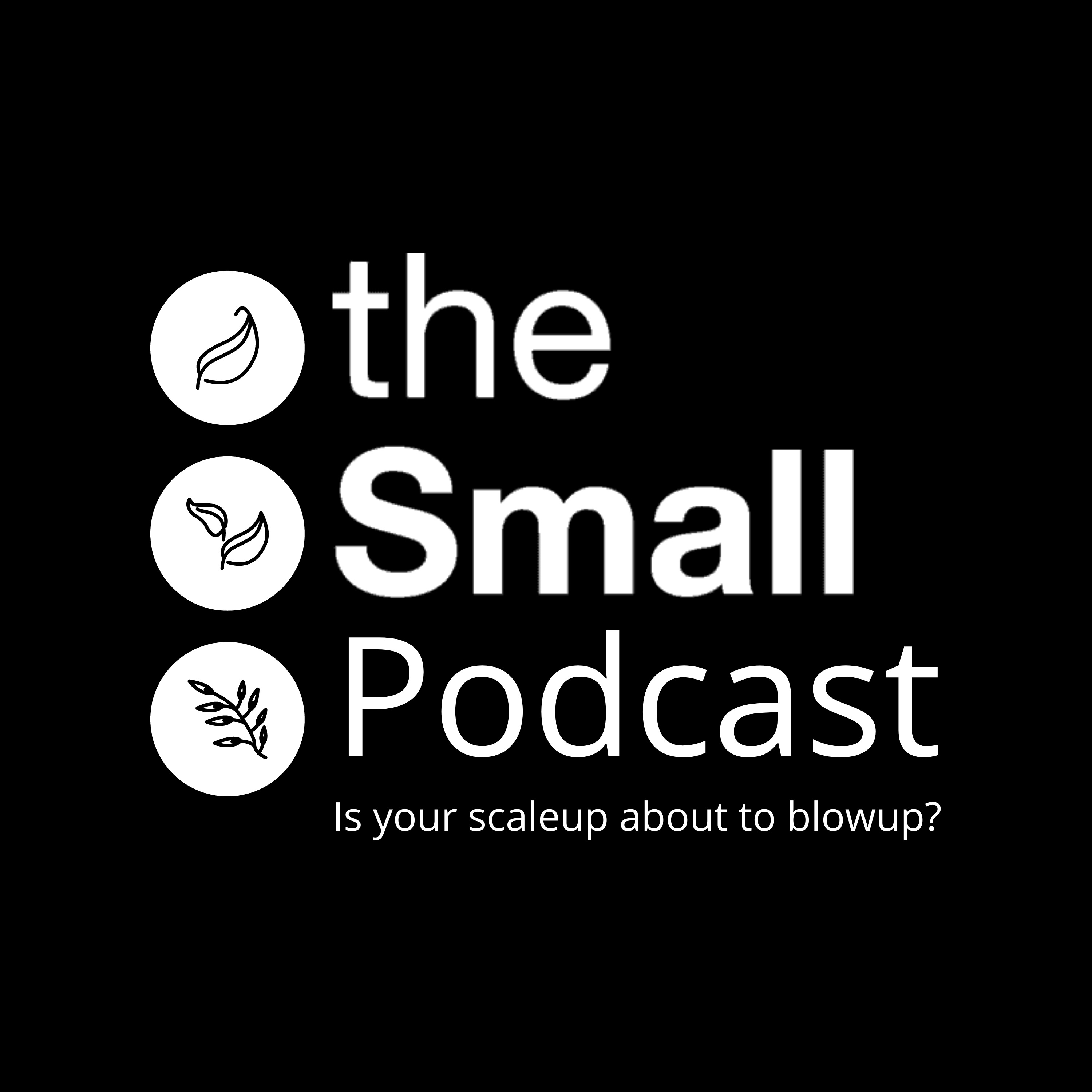 The Small Podcast