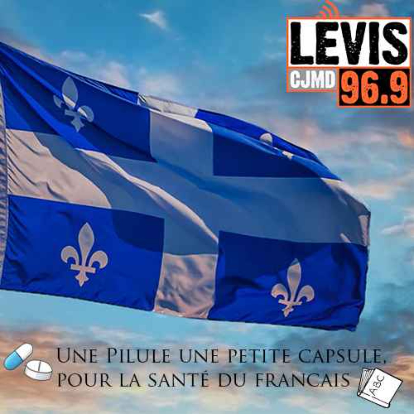 Une Pilule une petite capsule, pour la santé du francais cover art