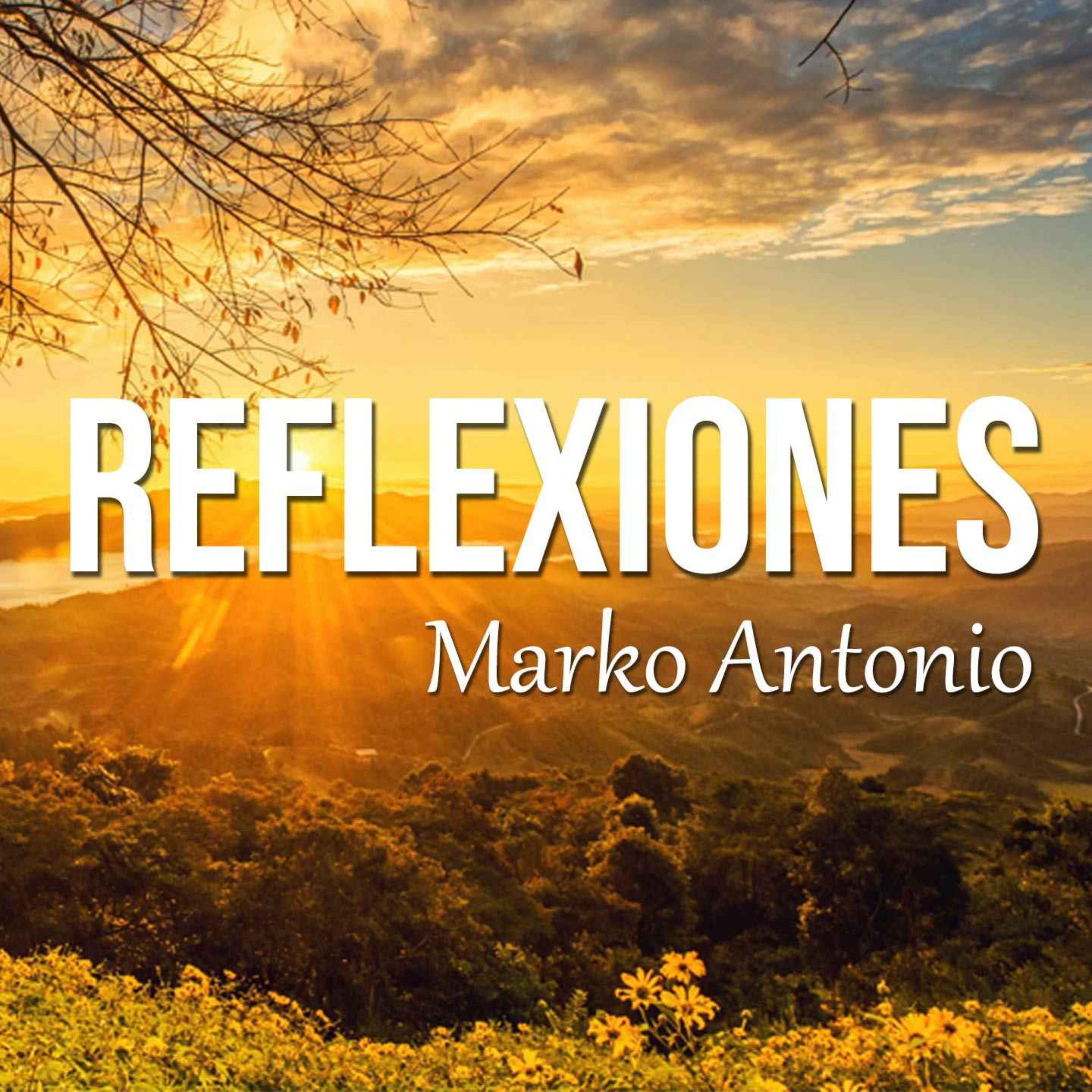 Reflexiones De Amor podcast artwork