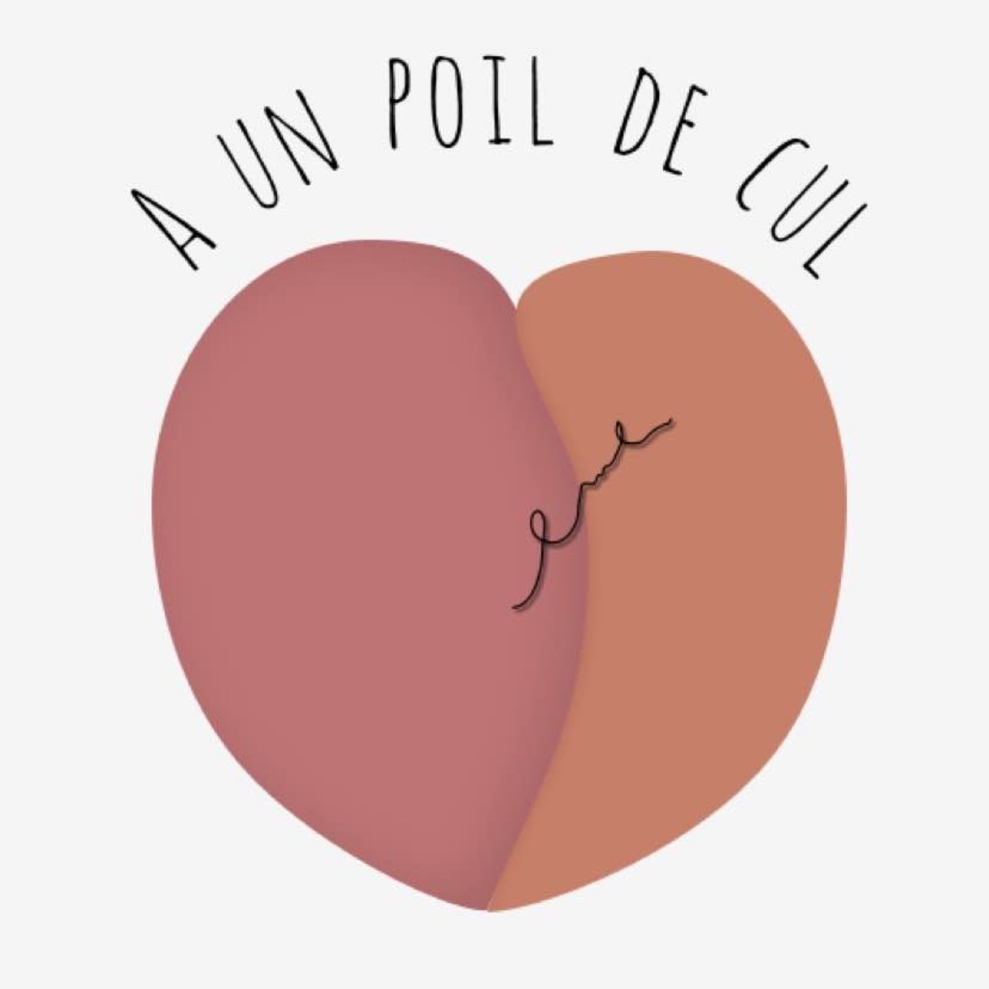 A un poil de cul podcast artwork