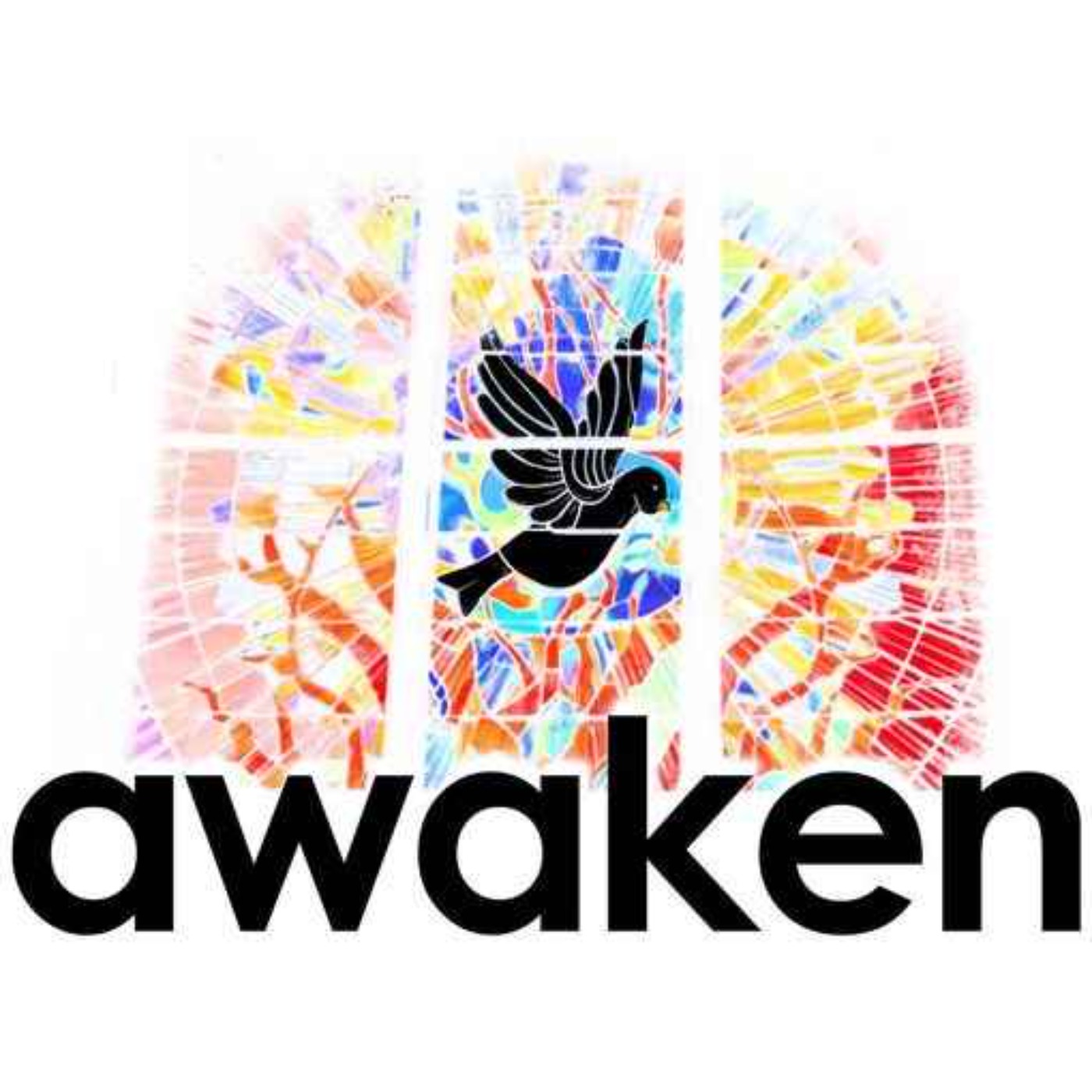 Awaken Conference podcast artwork