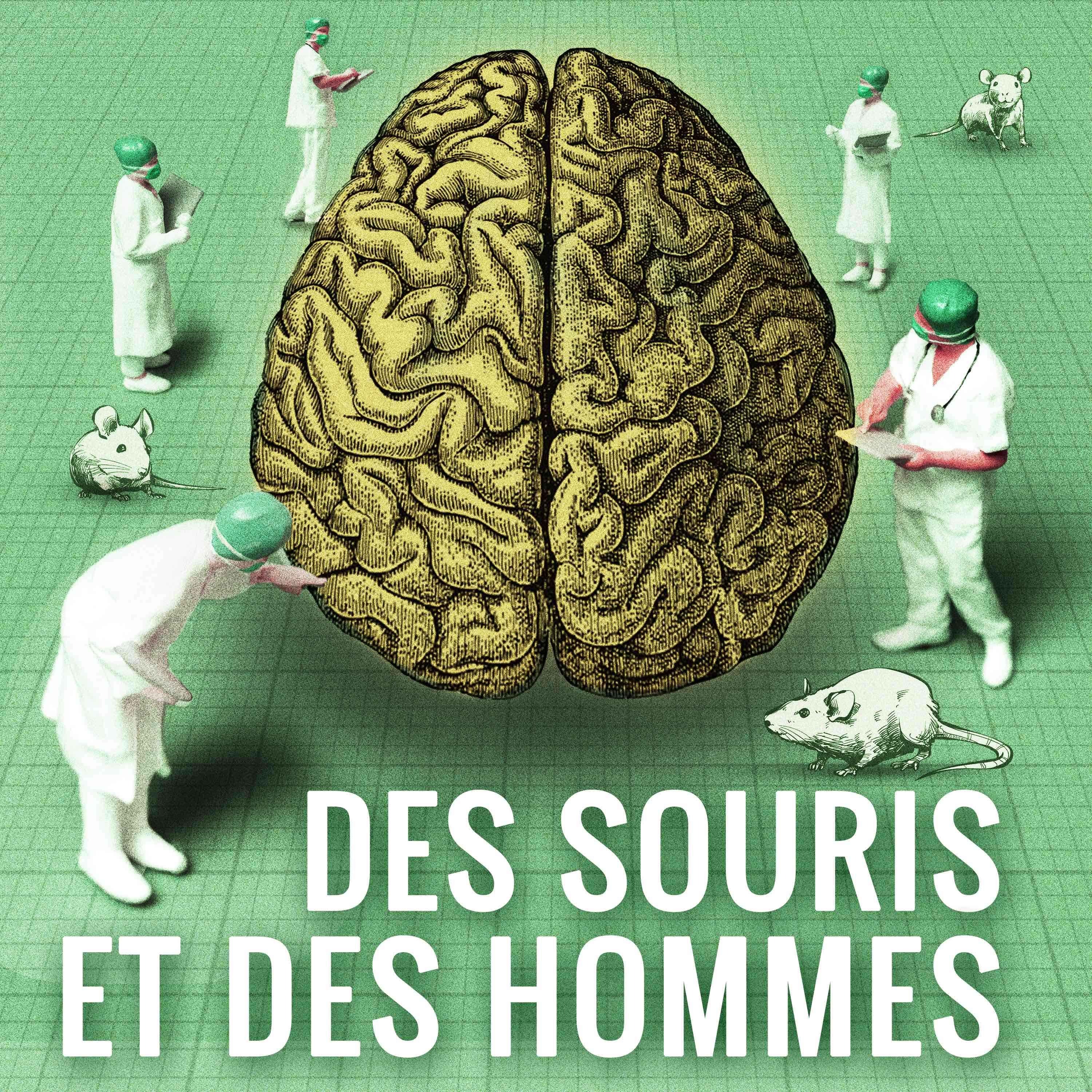 Des souris et des hommes podcast artwork