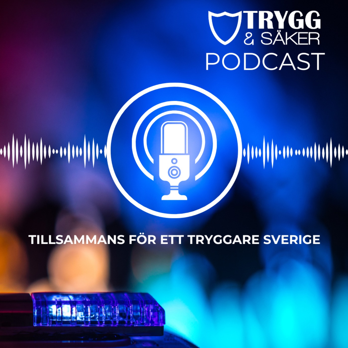 cover art for Lise Tamm, Chefsåklagare, Åklagarmyndigheten.