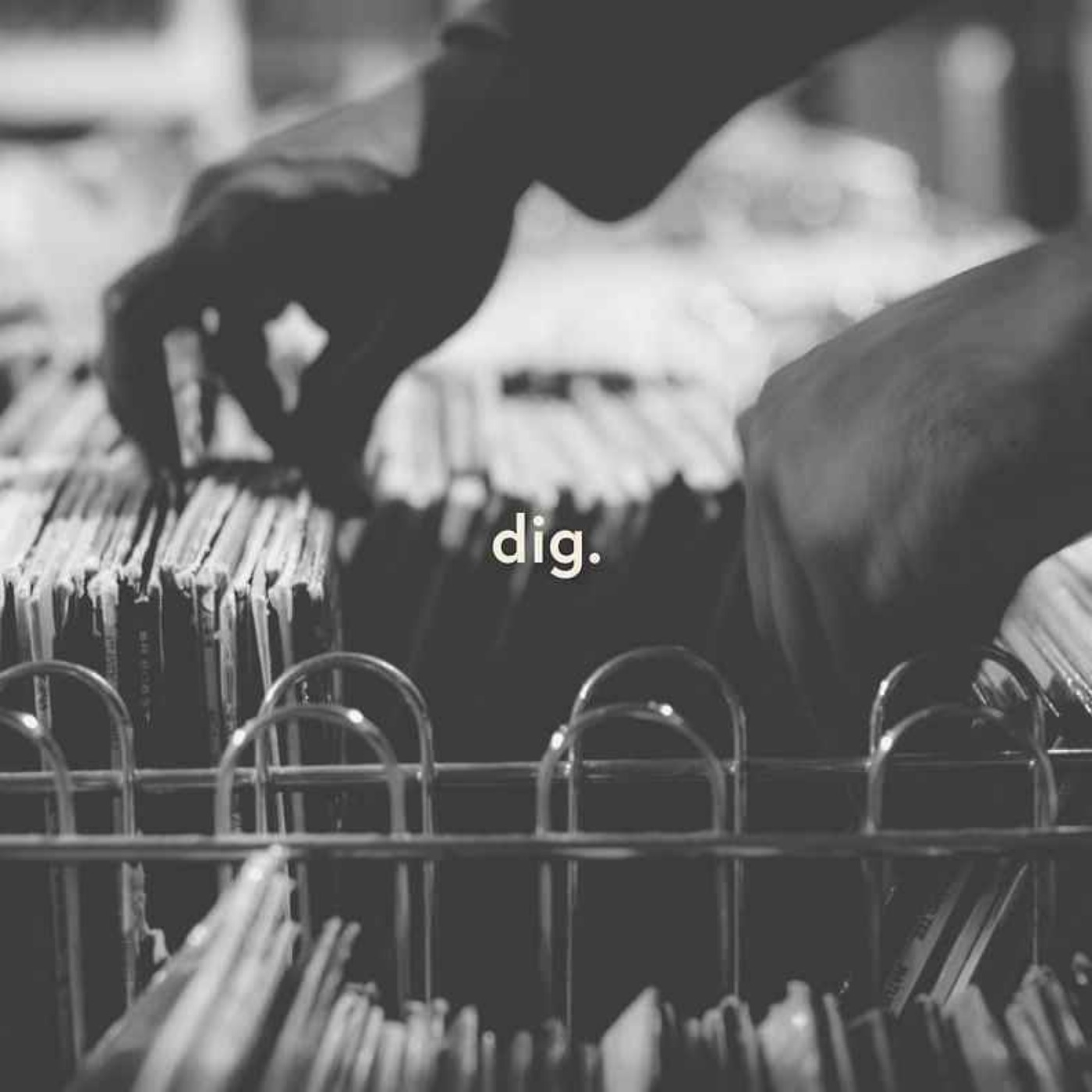 dig.