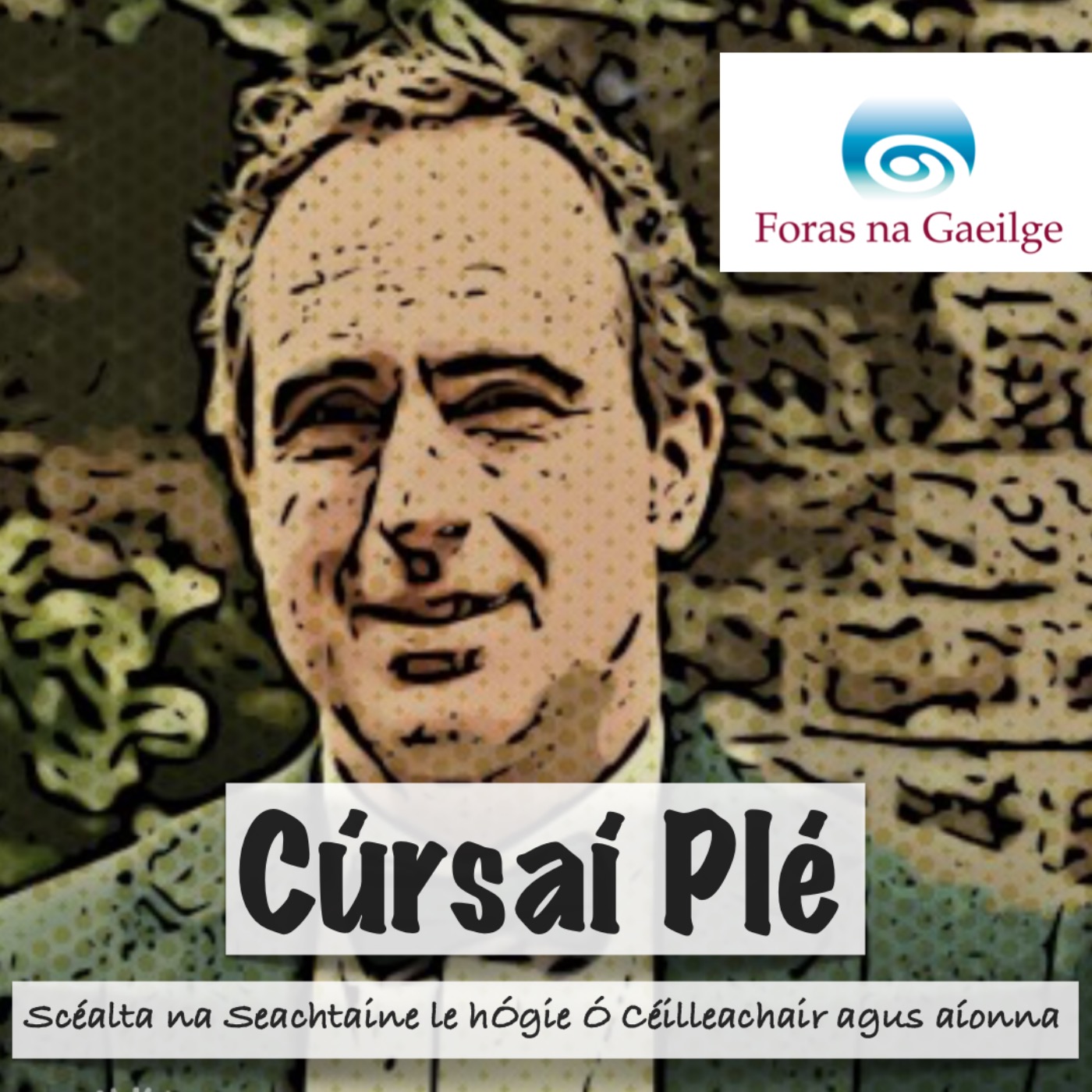 Cúrsaí Plé