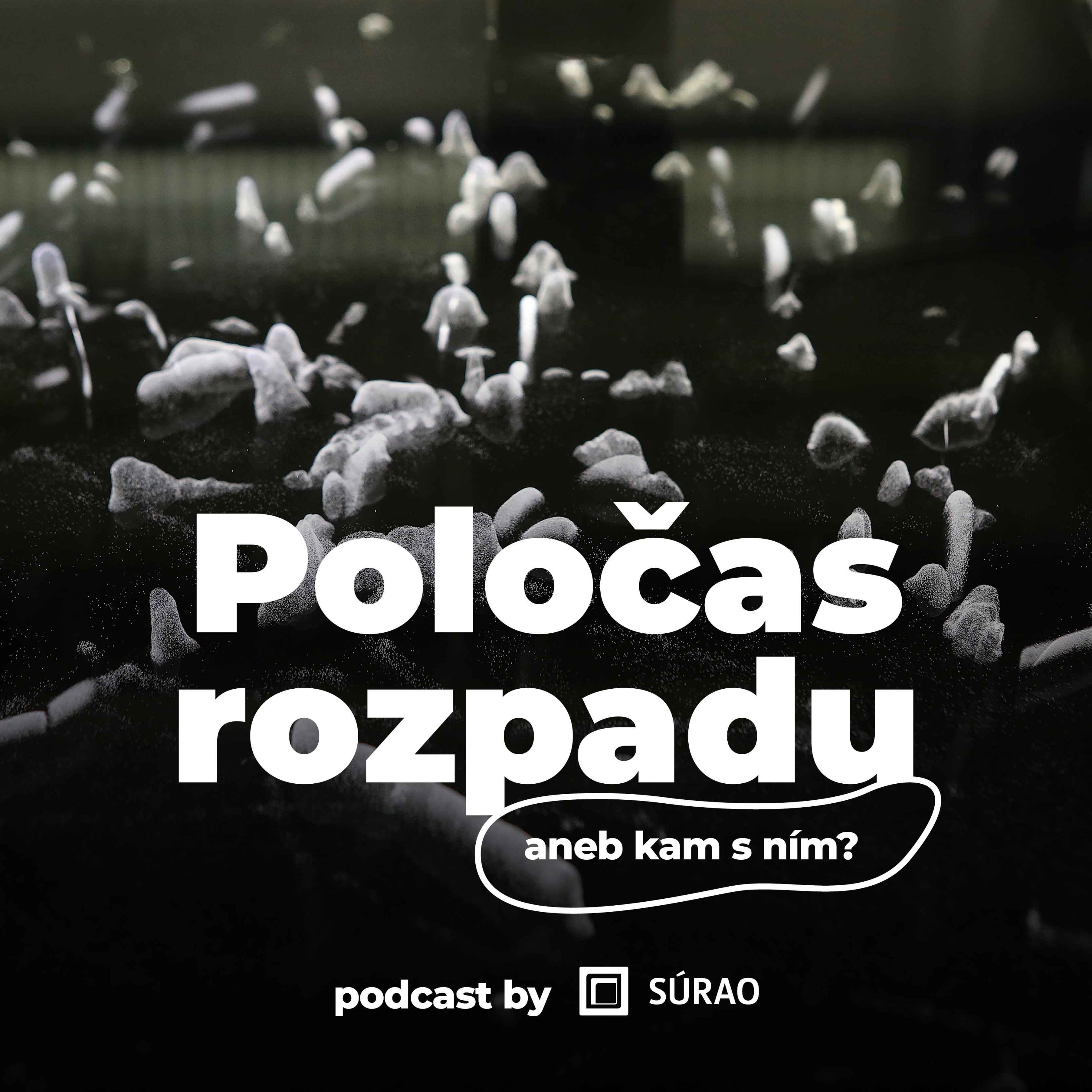 Poločas rozpadu aneb kam s ním? podcast artwork