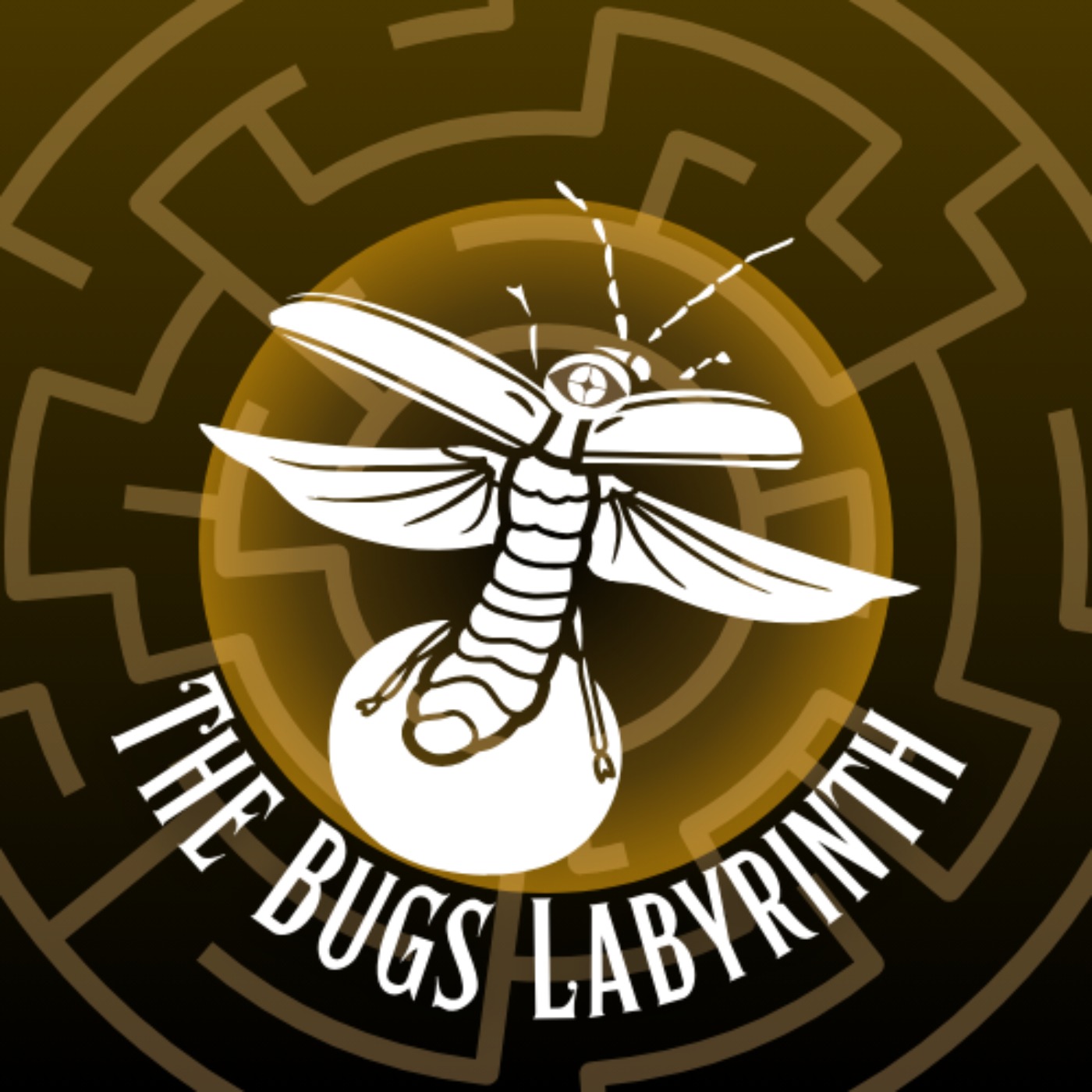 The Bugs Labyrinth