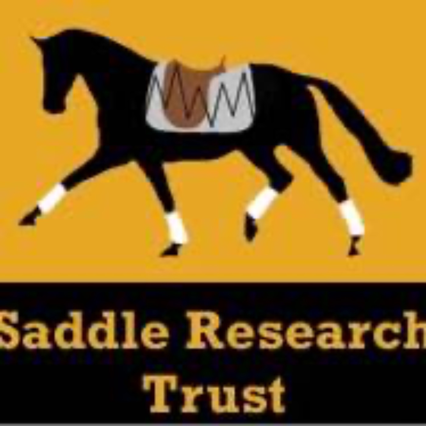 Saddle Research Trust