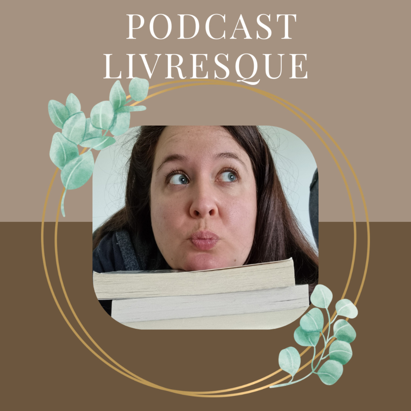Encore un chapitre et j'arrête podcast artwork