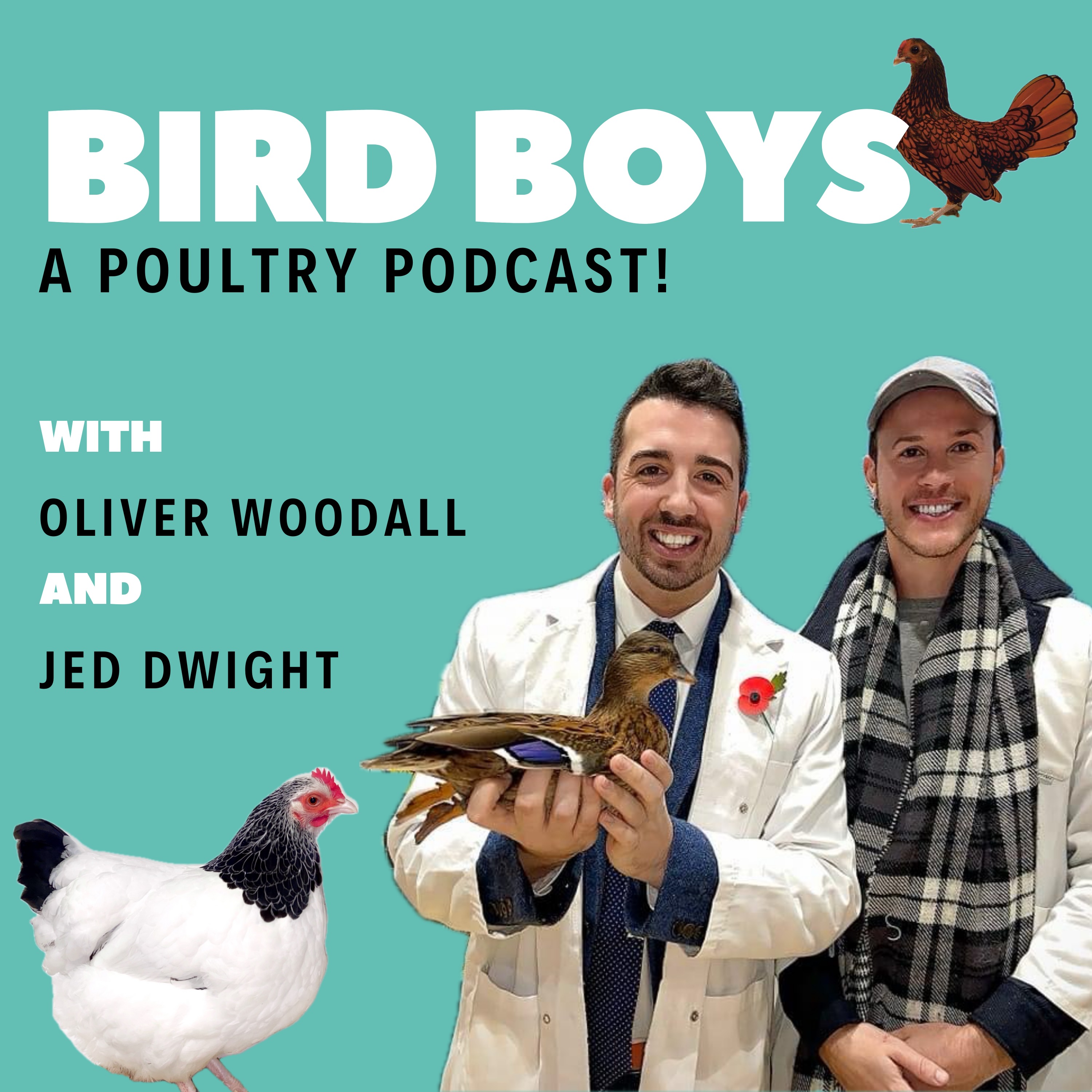 BirdBoys - A Poultry Podcast!