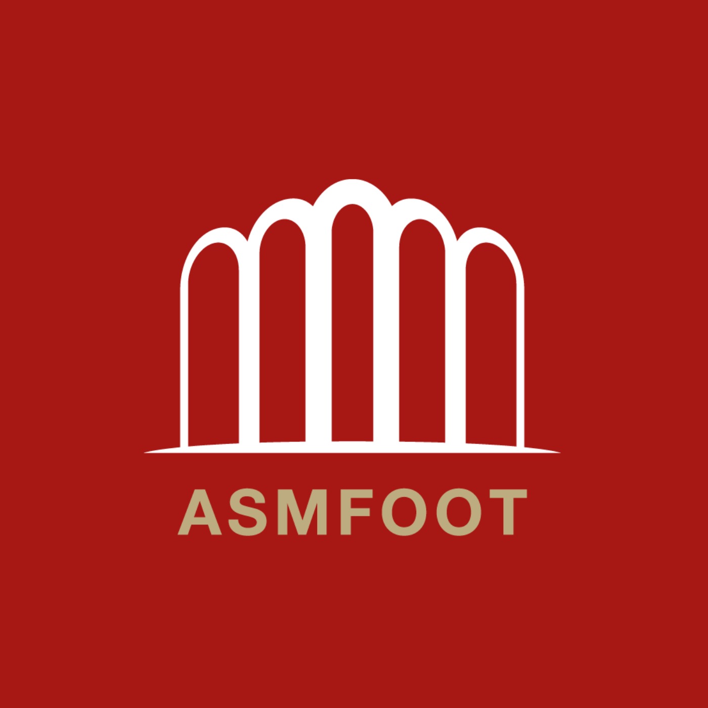 Asmfoot Radio