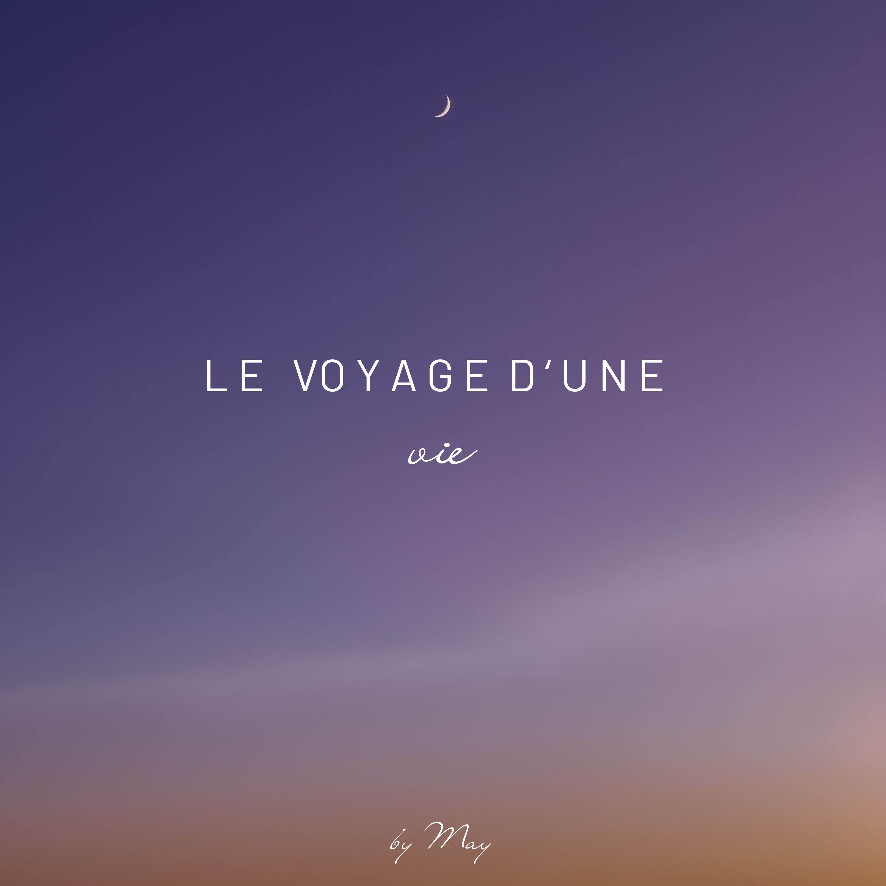 Le voyage d'une vie podcast artwork