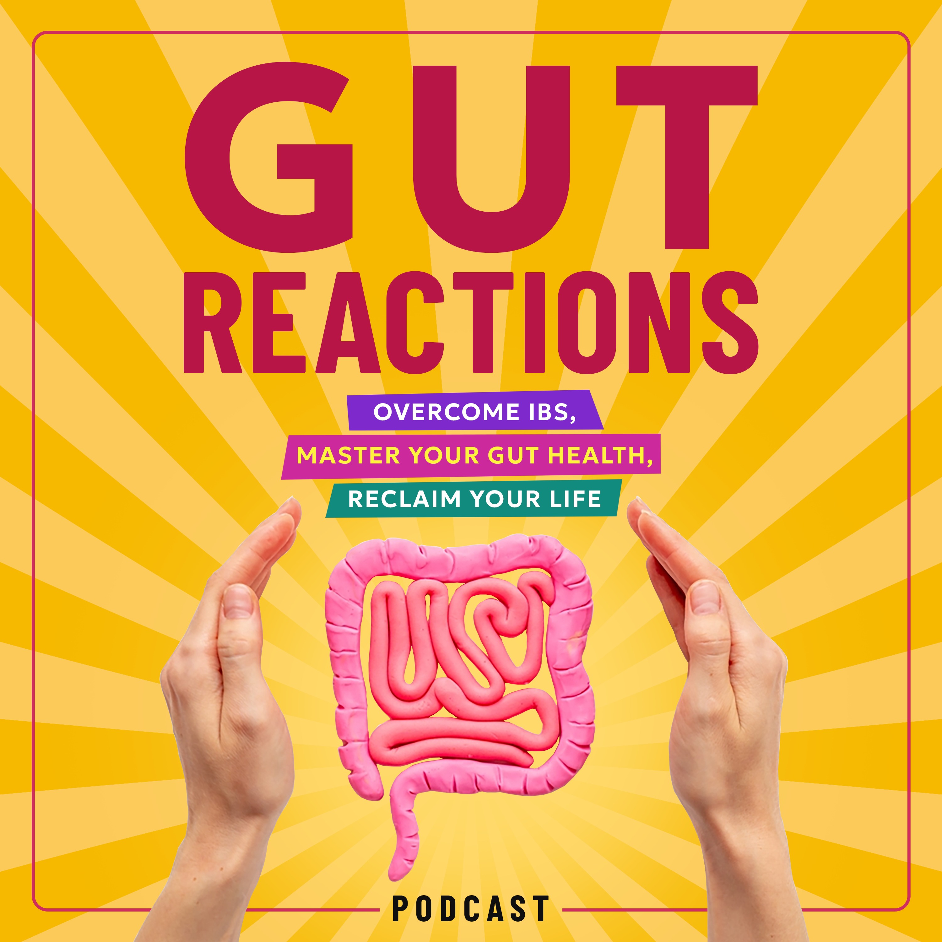 cover art for #46. How To Instantly Stop Stress From Triggering Your IBS, & Why It Triggers It In The First Place : IBS, Gut Health & Irritable Bowel Syndrome