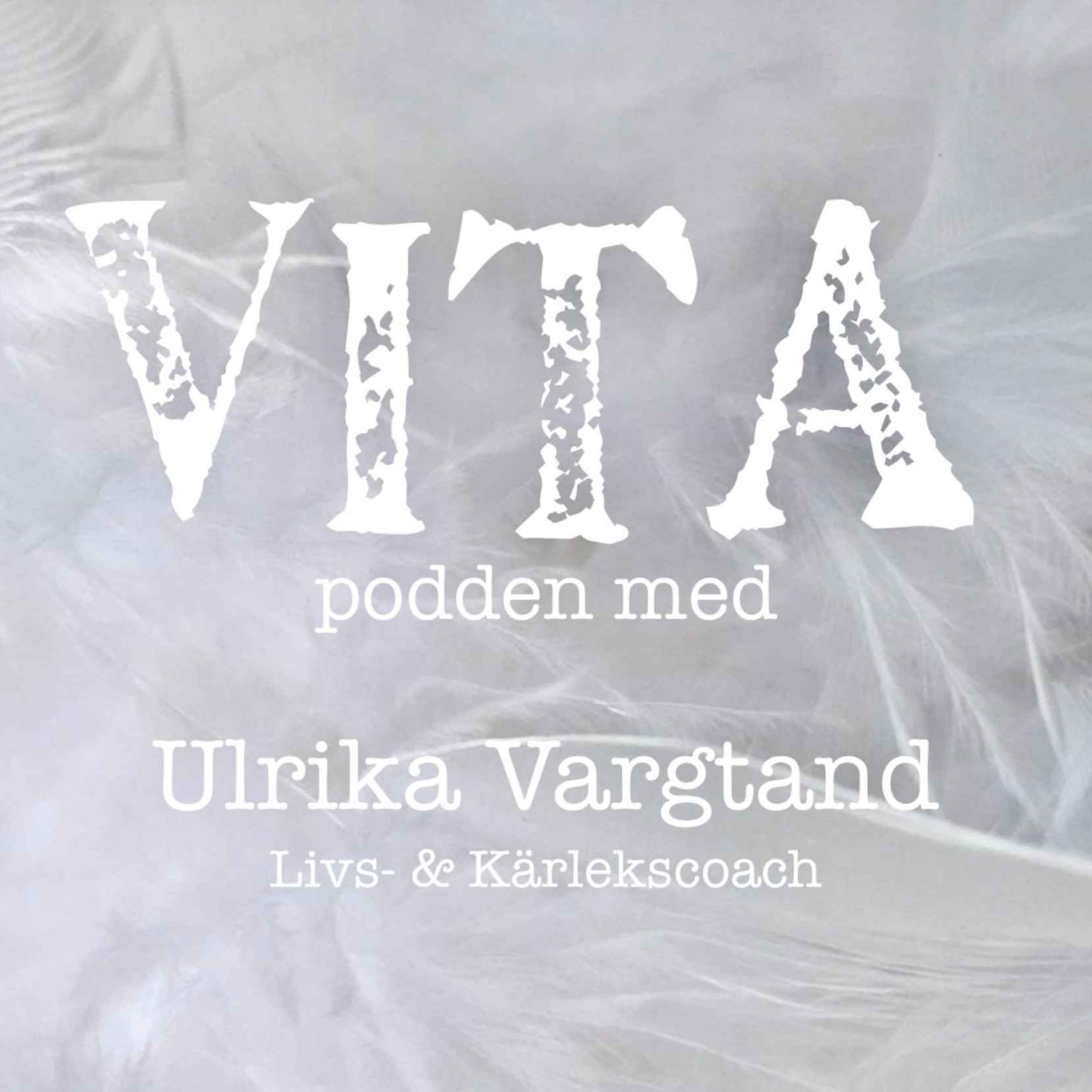 VITApodden podcast artwork