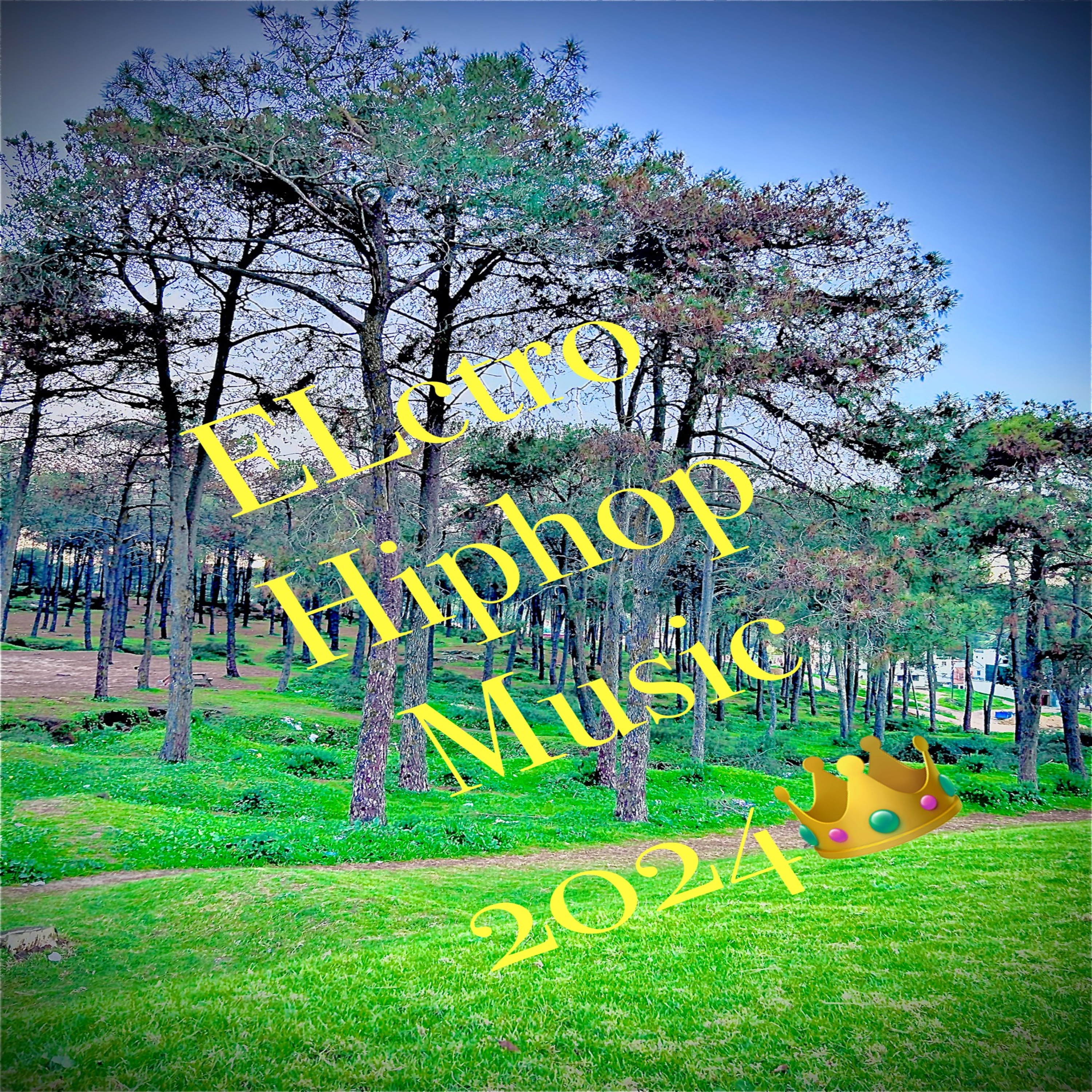 Hiphop-Electro-Music-2024 podcast artwork