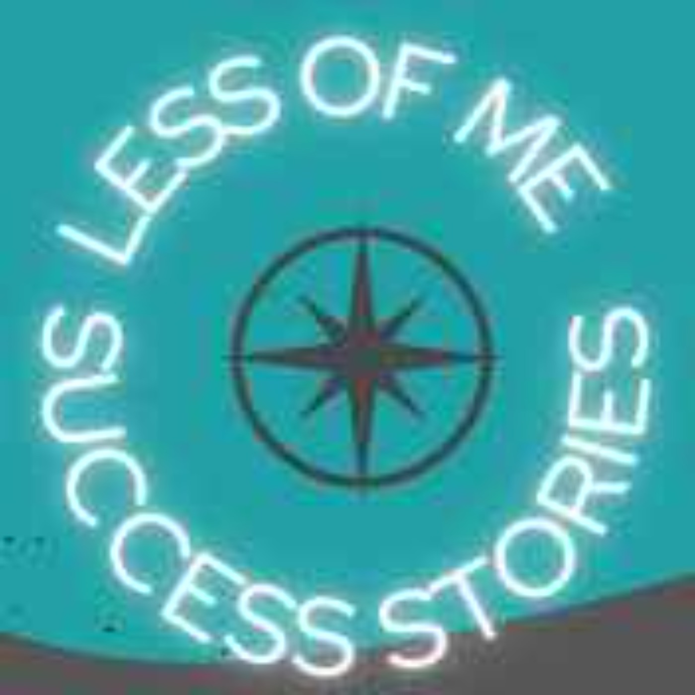 Less Of Me Success Stories