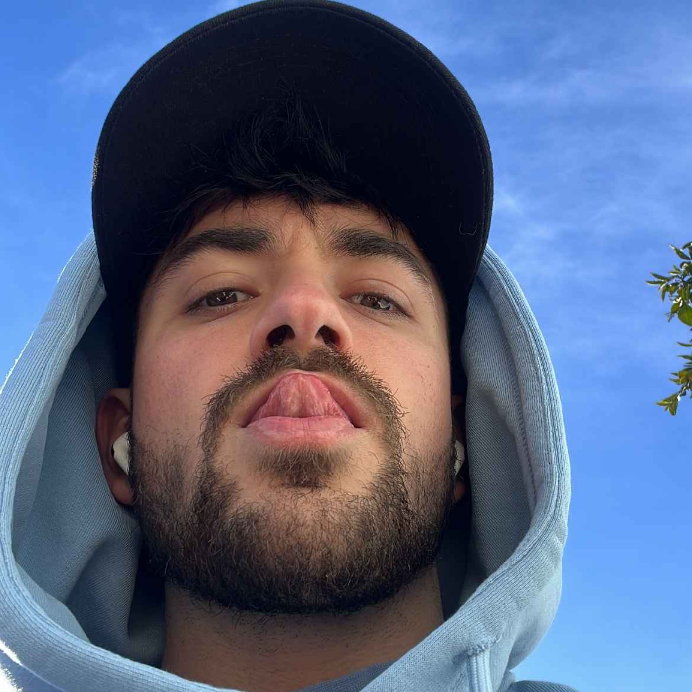 Ça pense et Ça pousse