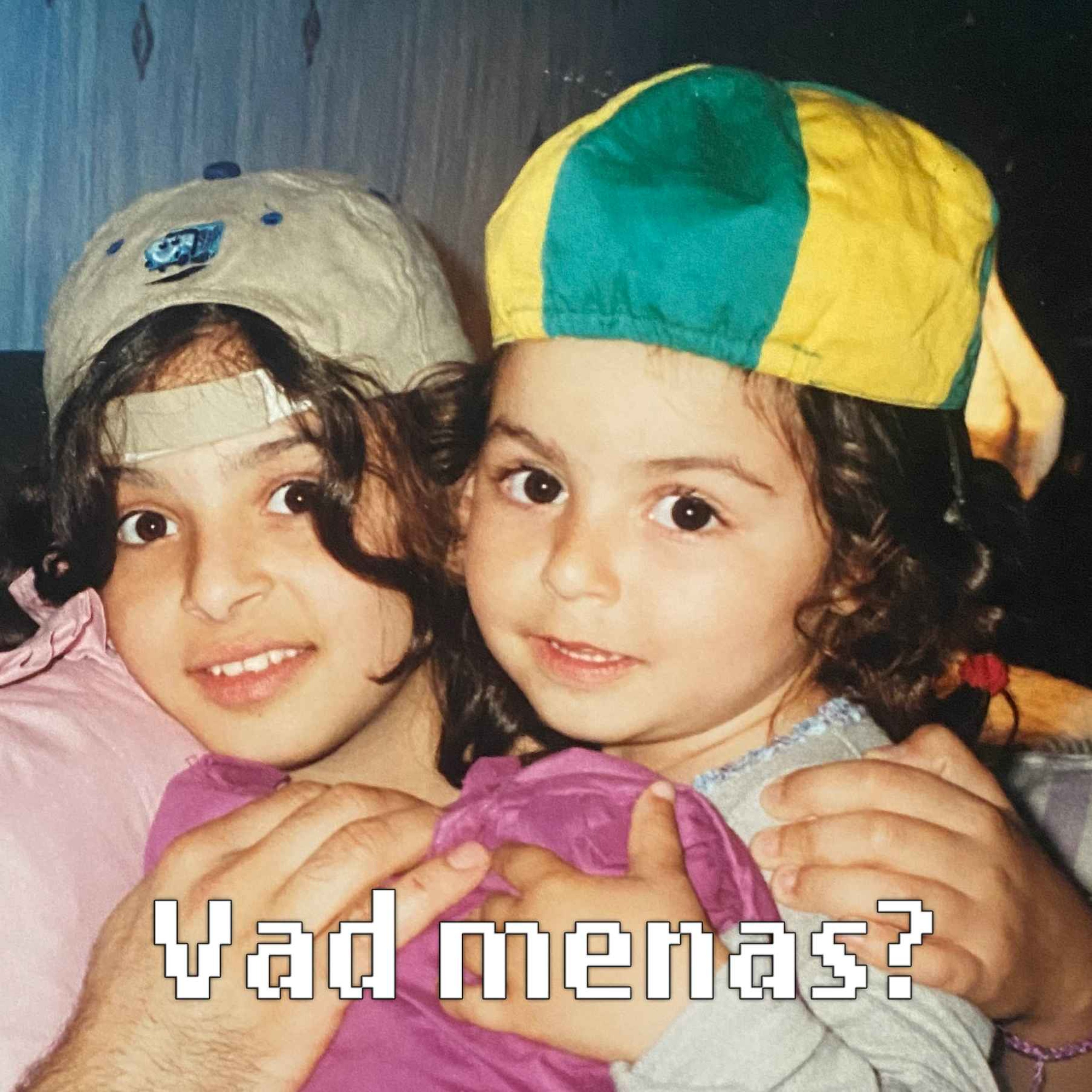 Vad menas?