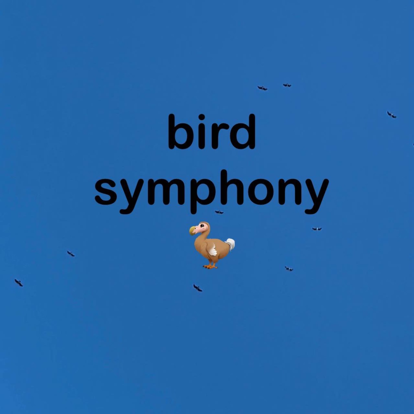Bird Symphony 2024 podcast artwork