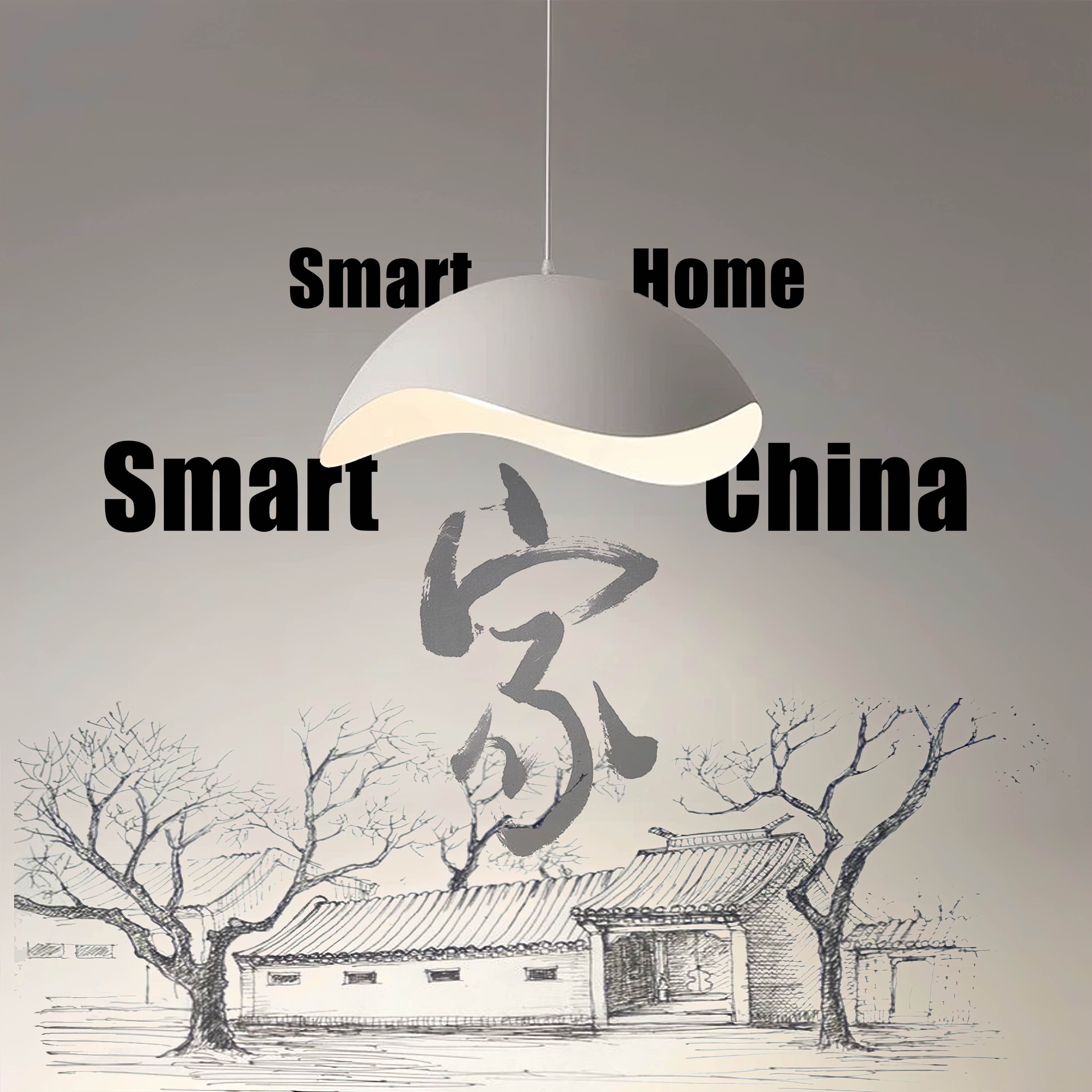 Smart Home, Smart China