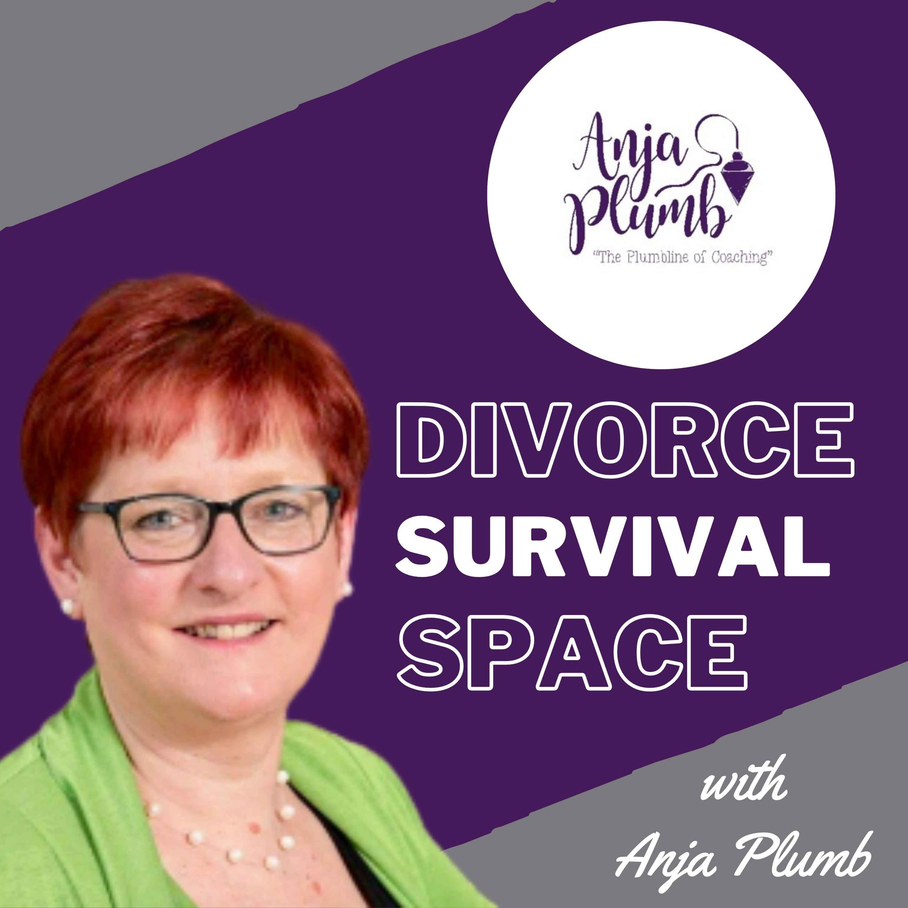 cover art for What is a divorce coach?