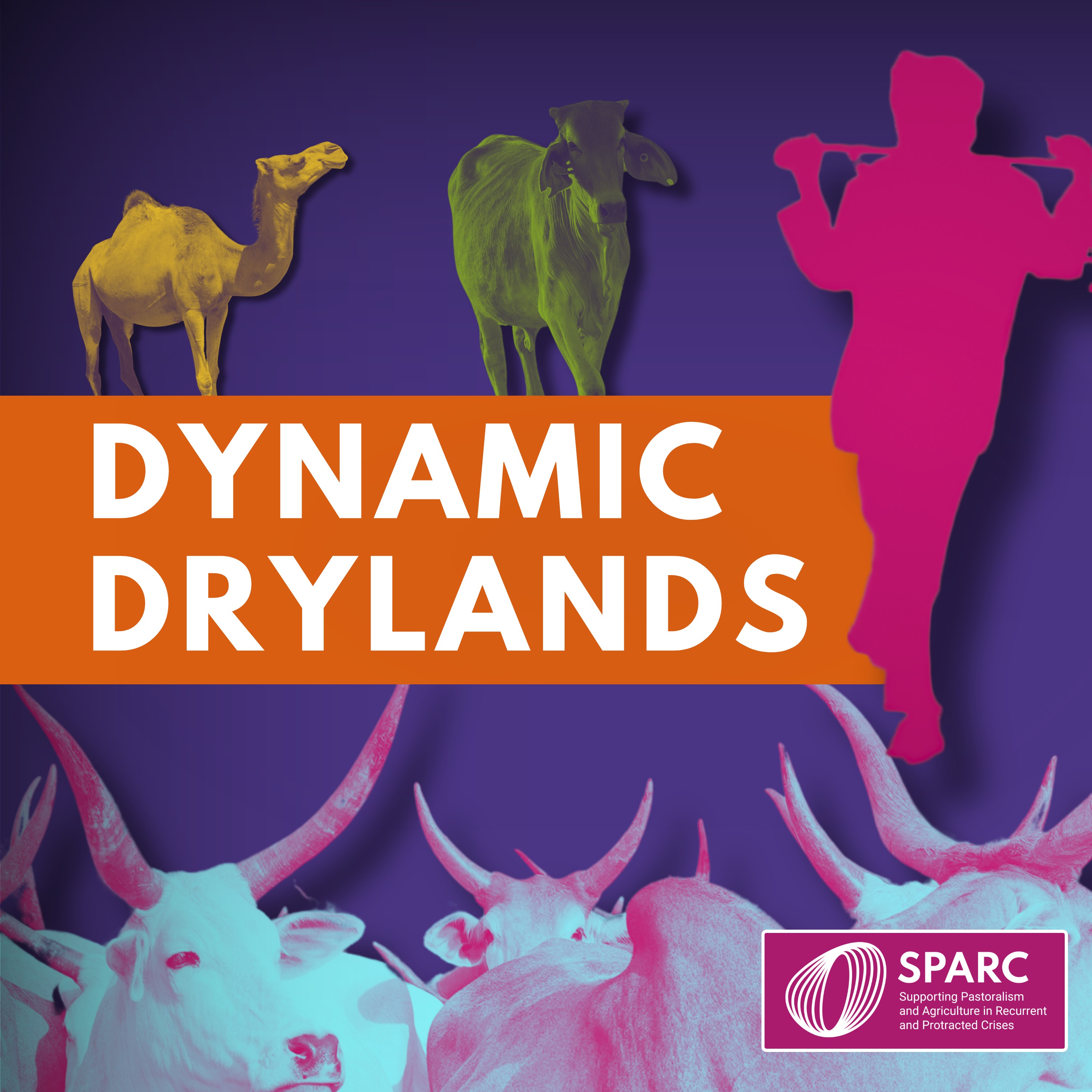 Dynamic Drylands Image