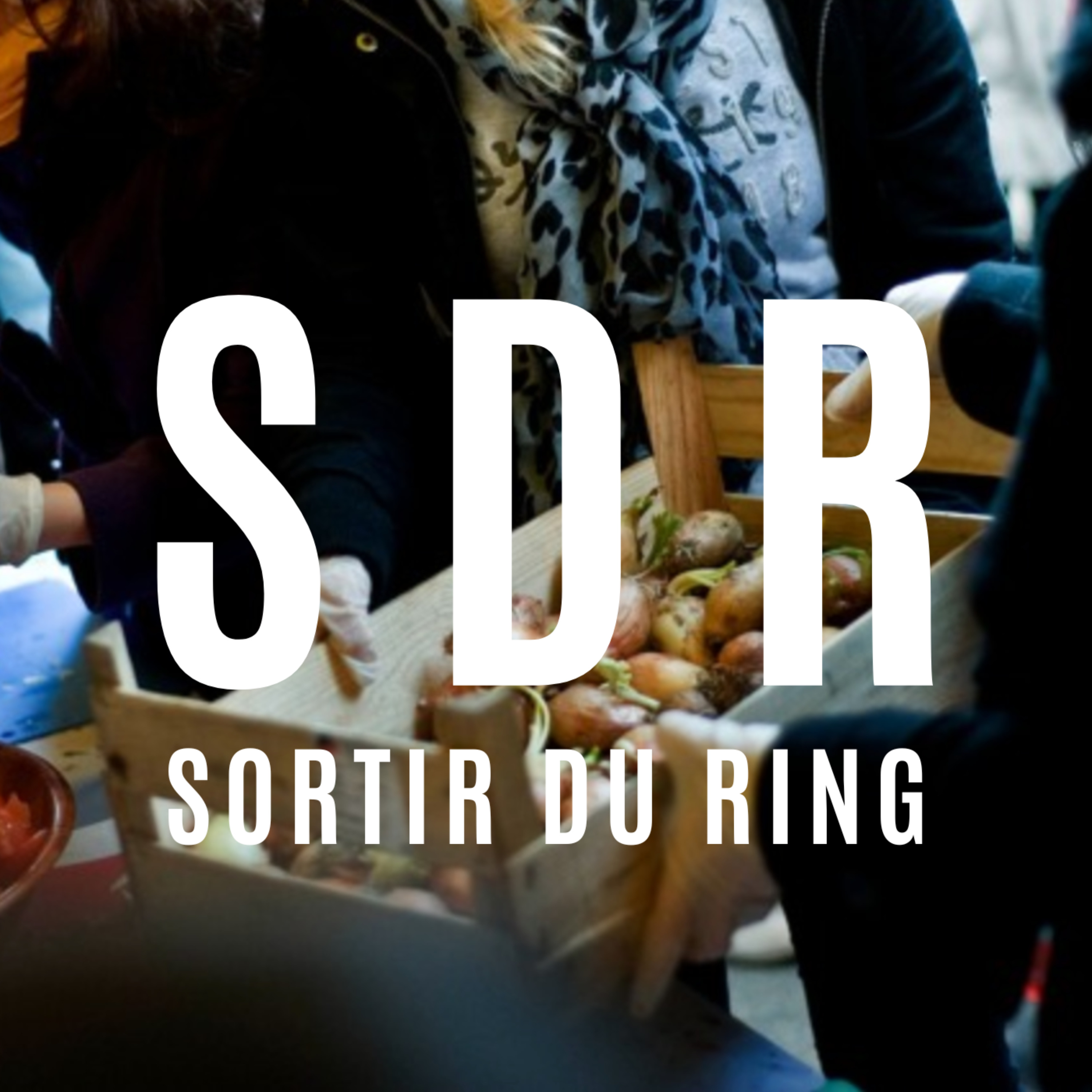 SORTIR DU RING