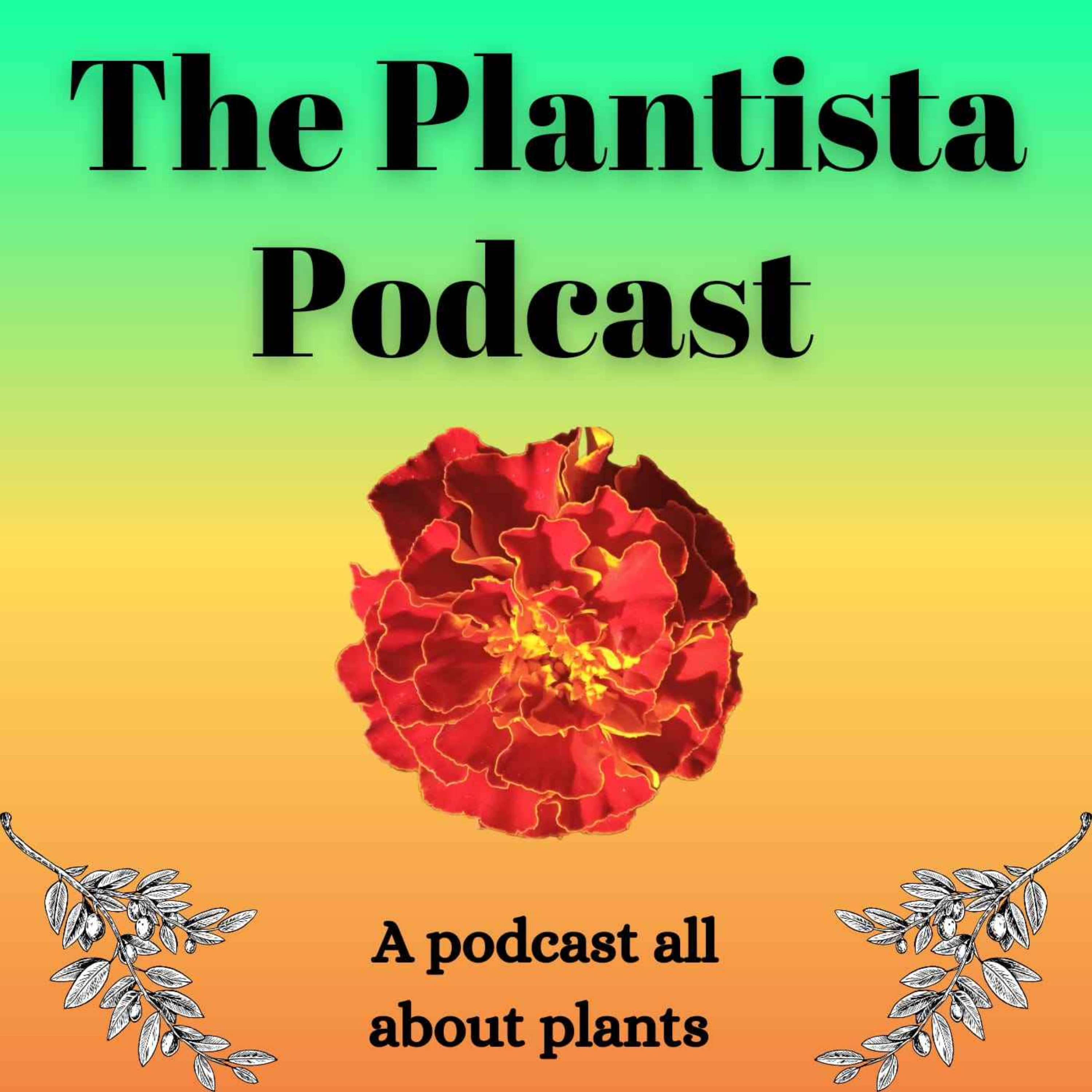 The Plantista Podcast