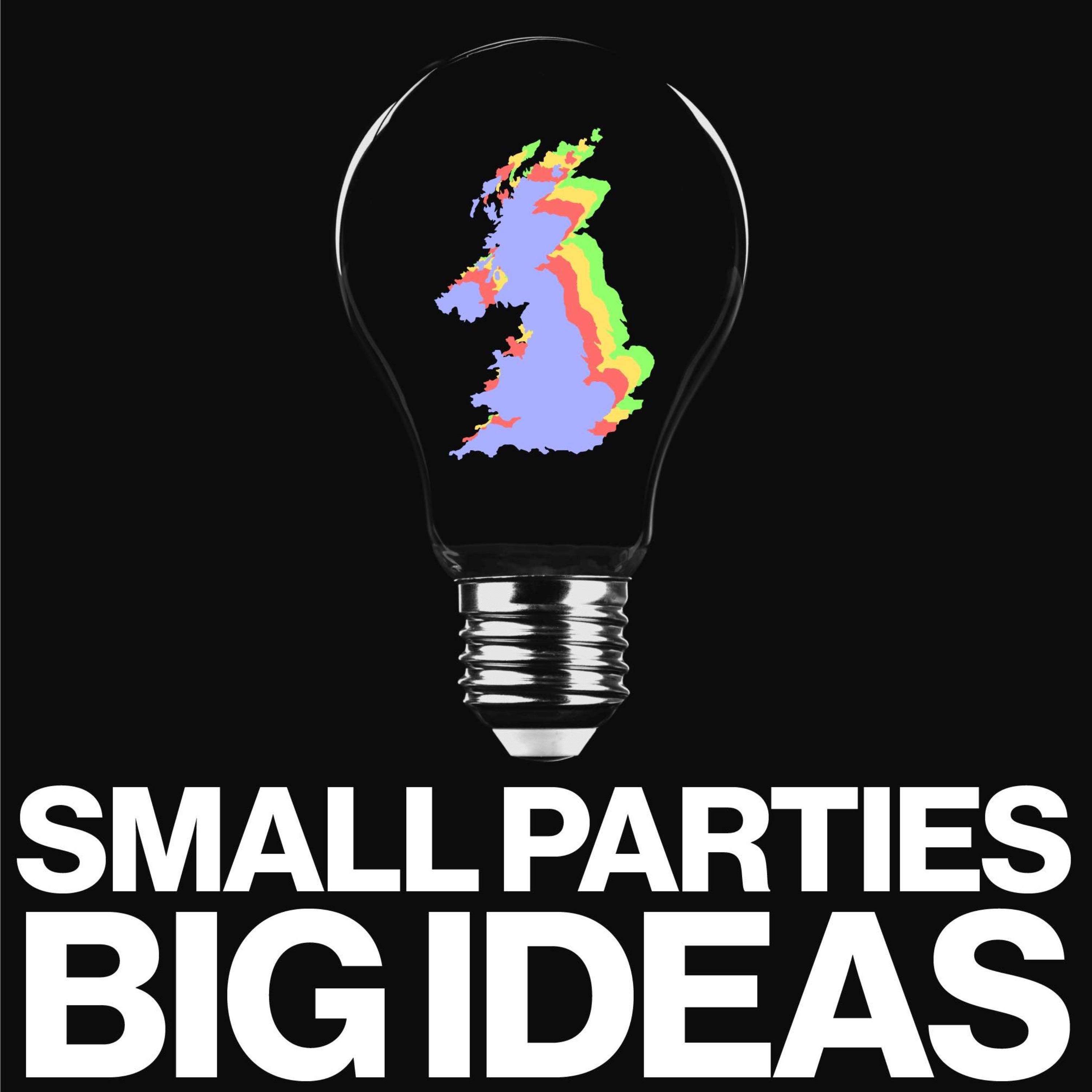 Small Parties, Big Ideas