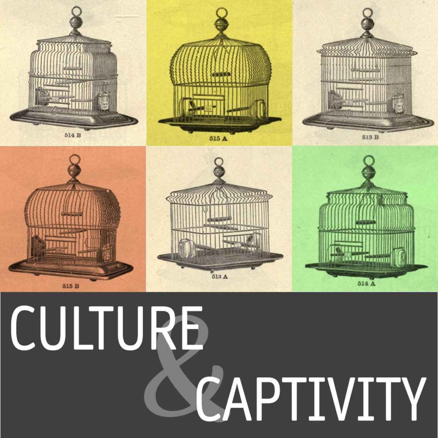 Culture & Captivity